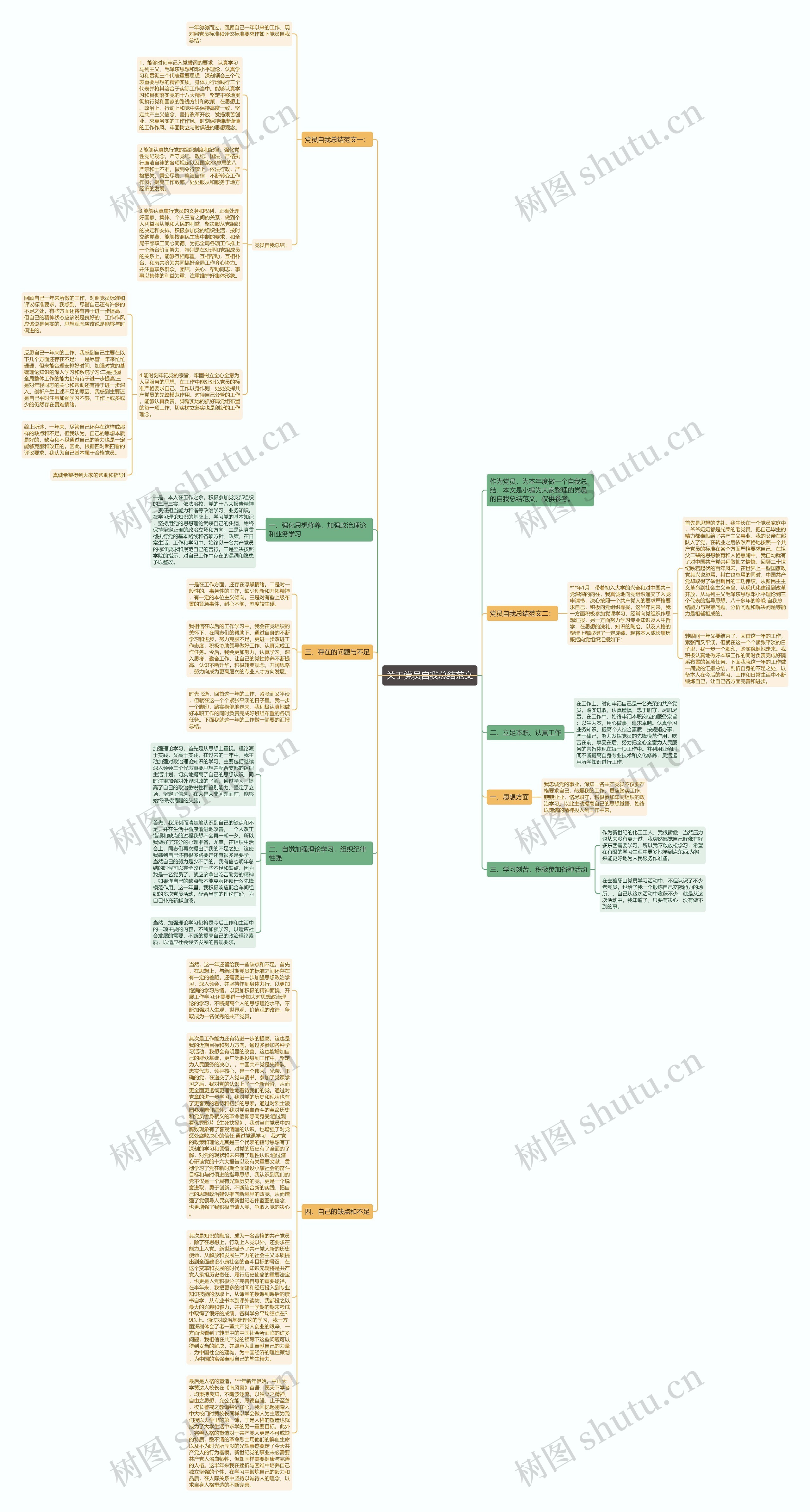 关于党员自我总结范文思维导图