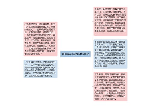 暑假实习自我总结范文