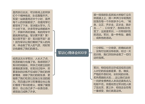 军训心得体会800字