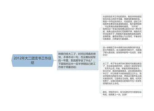 2012年大二团支书工作总结