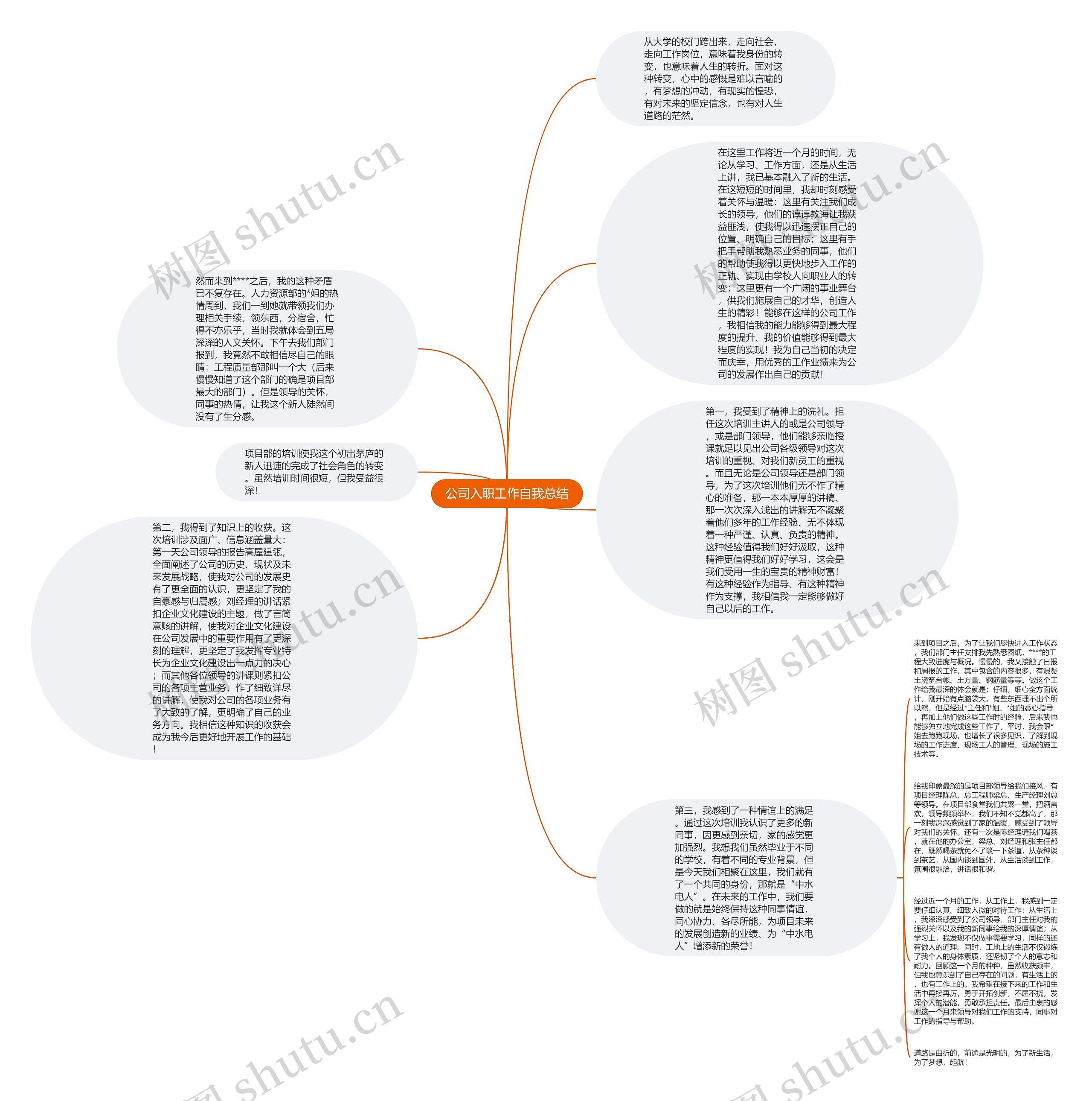 公司入职工作自我总结思维导图