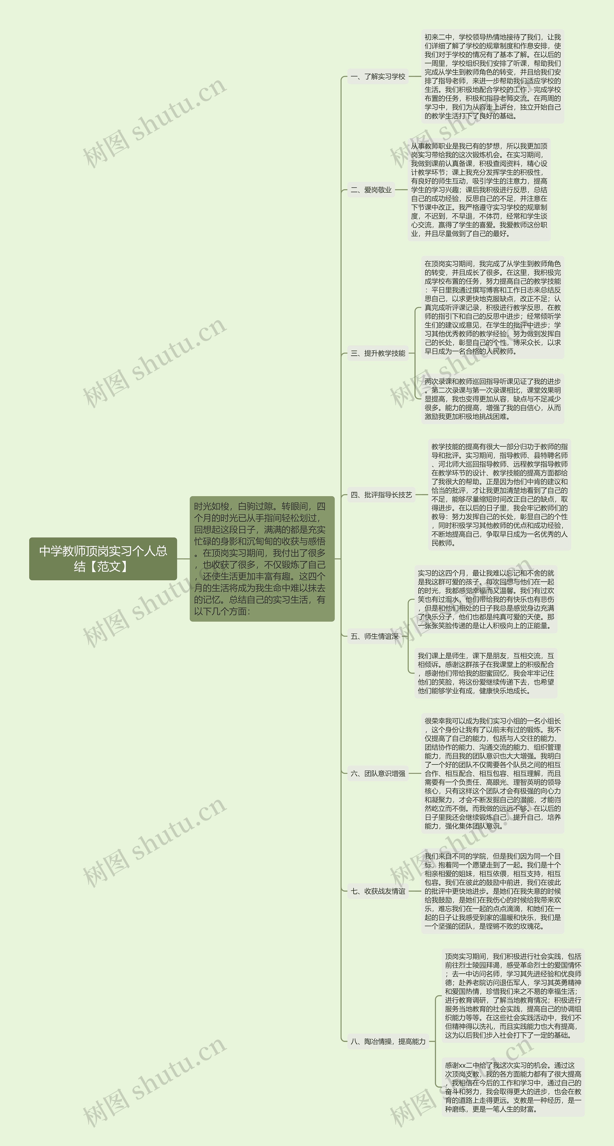 中学教师顶岗实习个人总结【范文】思维导图