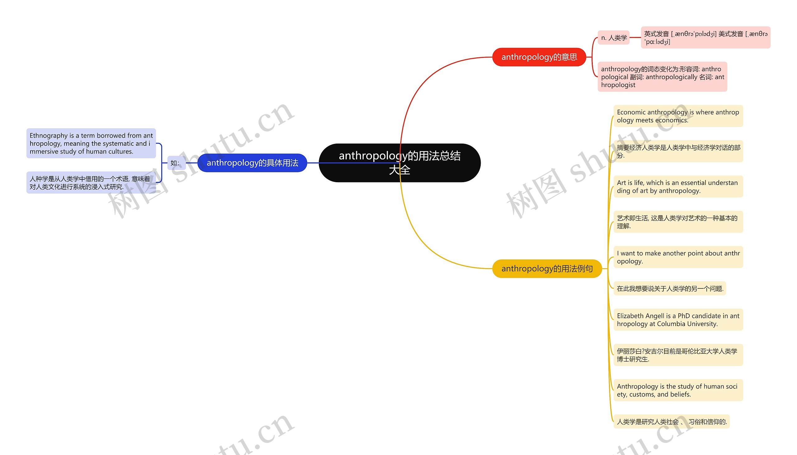 anthropology的用法总结大全思维导图