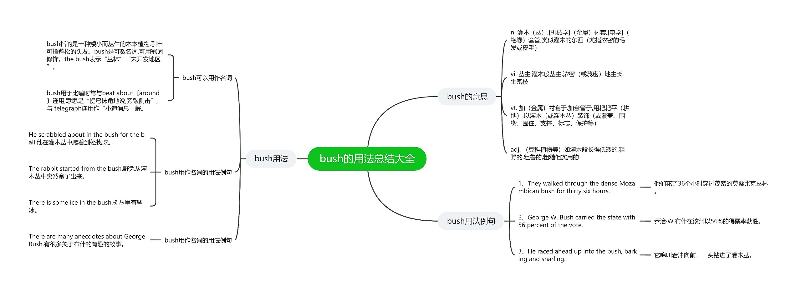 bush的用法总结大全思维导图