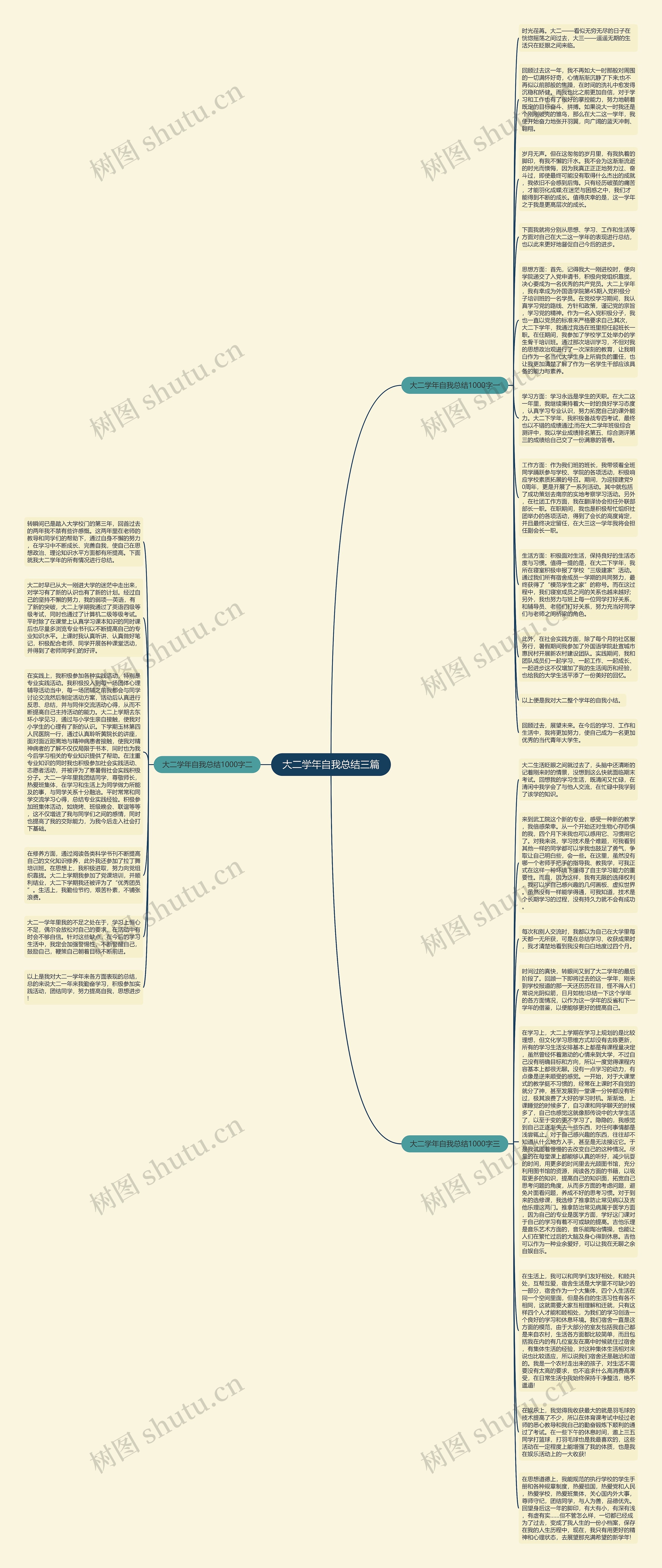 大二学年自我总结三篇思维导图