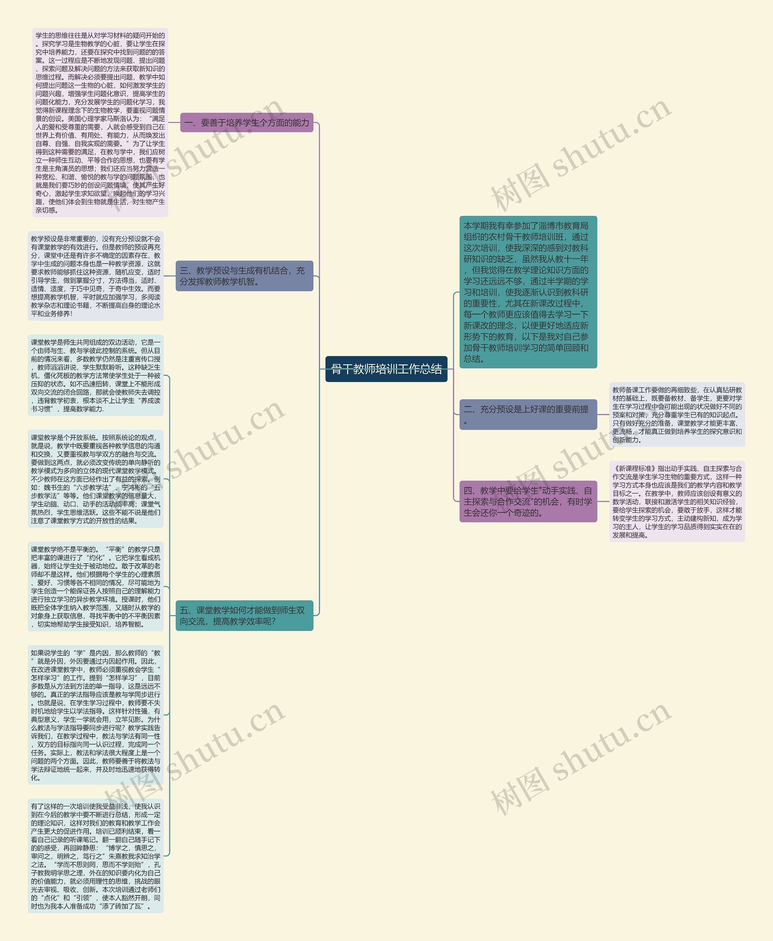 骨干教师培训工作总结思维导图