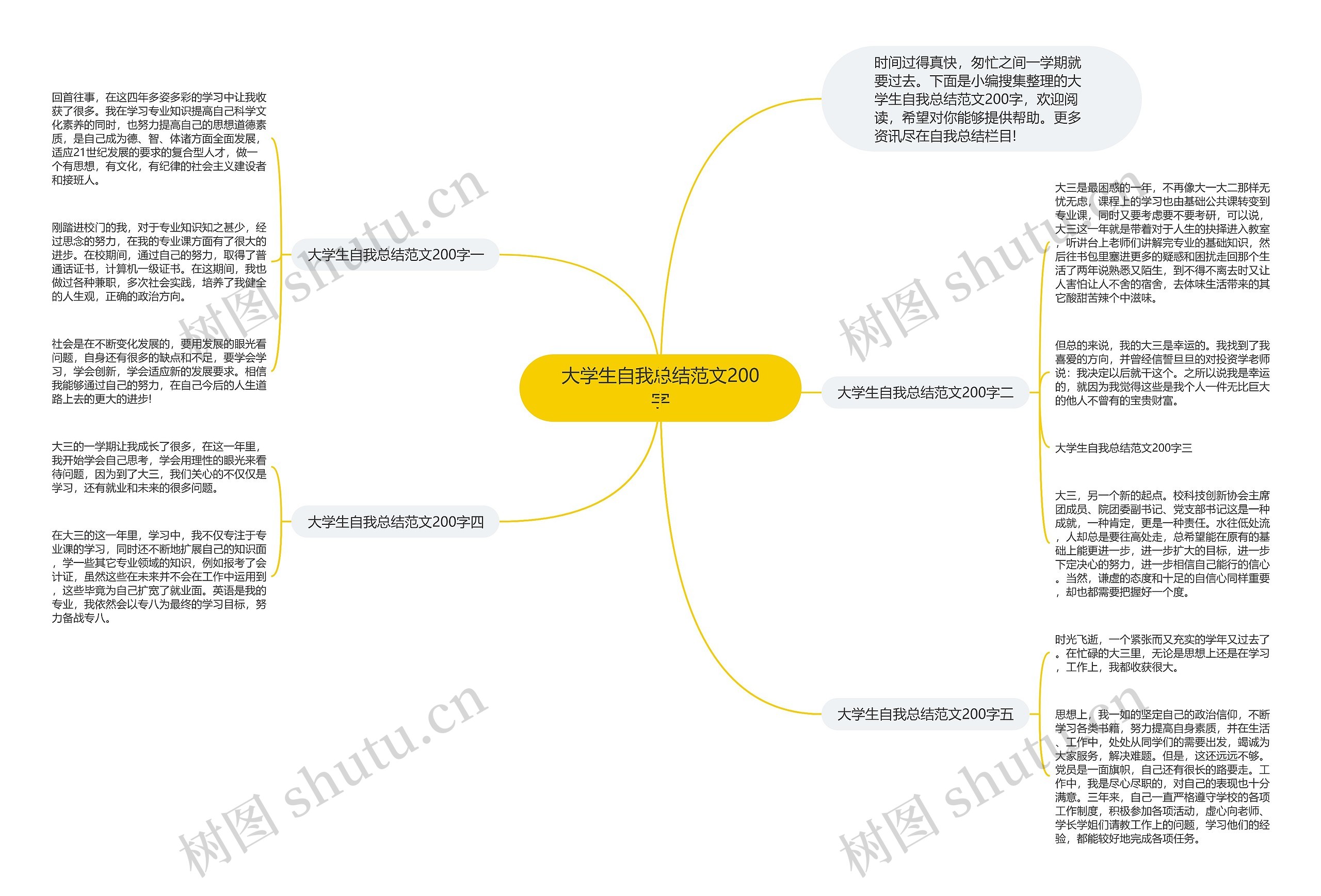 大学生自我总结范文200字思维导图