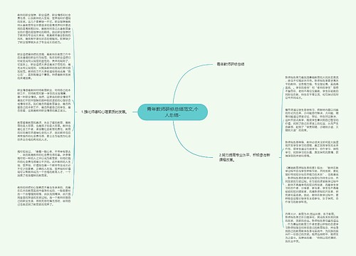 青年教师研修总结范文,个人总结-