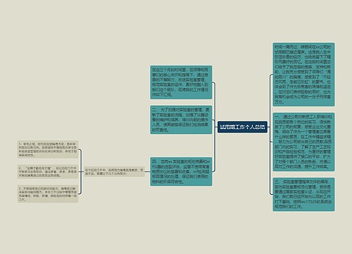 试用期工作个人总结