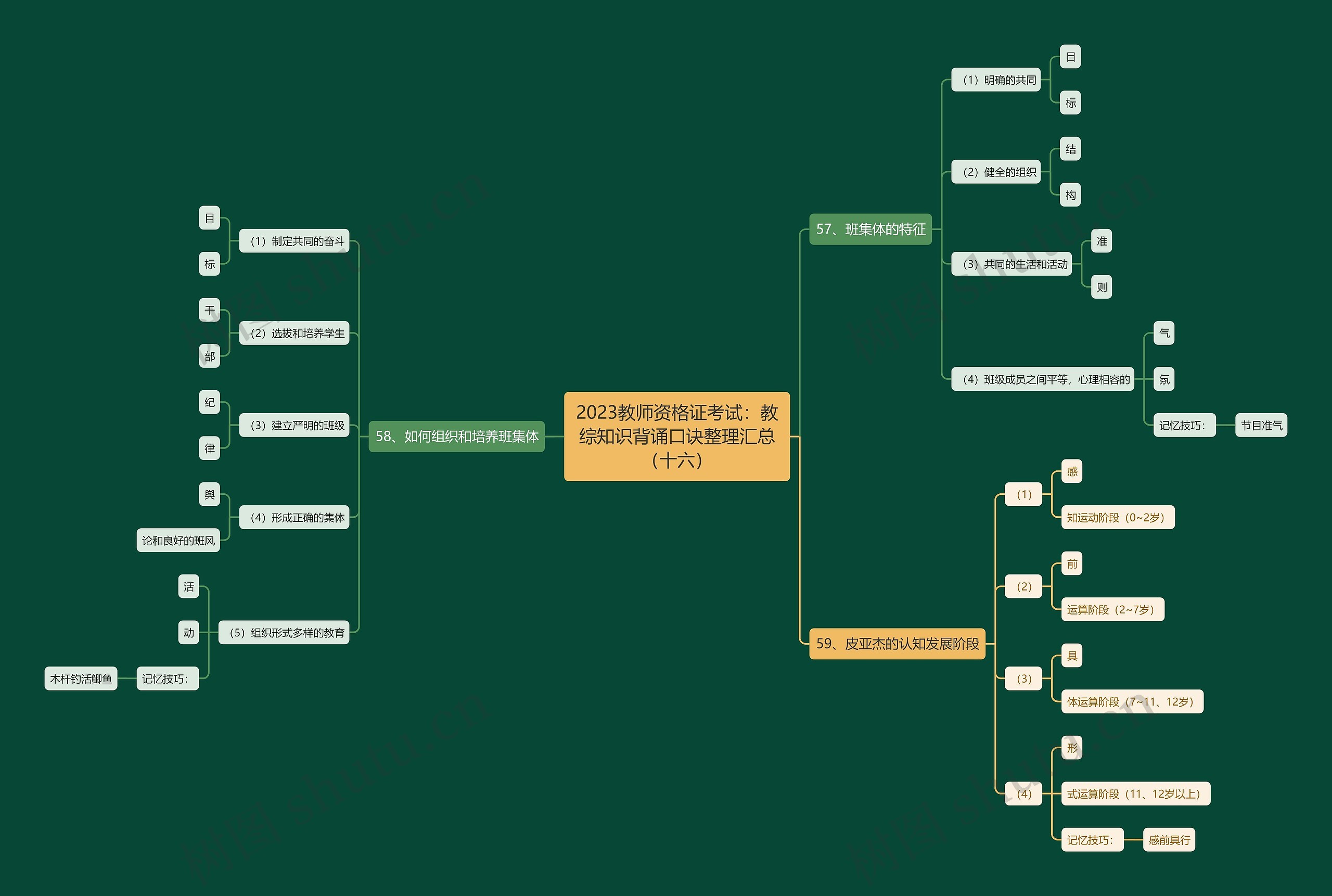 2023教师资格证考试：教综知识背诵口诀整理汇总（十六）思维导图