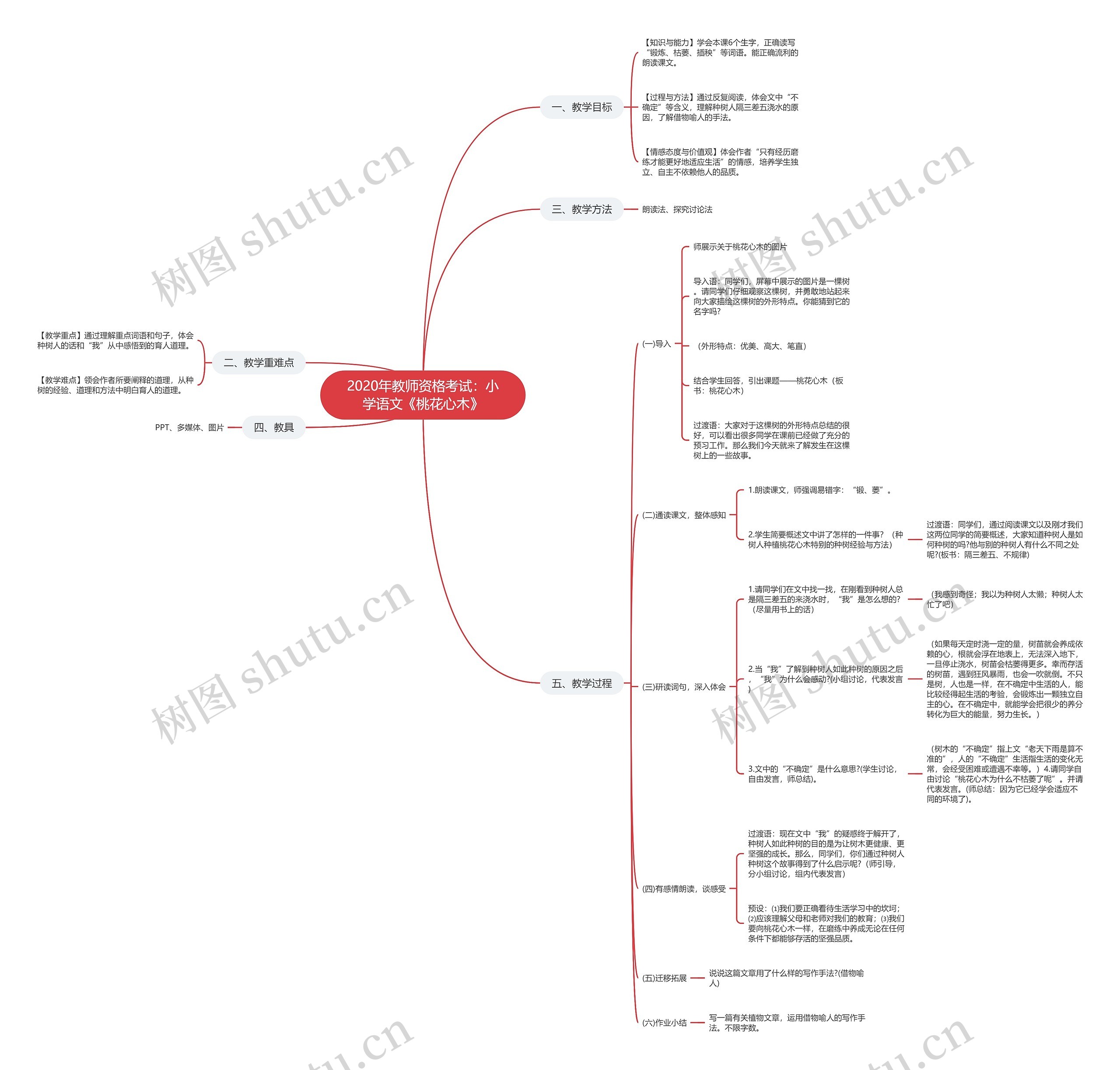 2020年教师资格考试：小学语文《桃花心木》思维导图