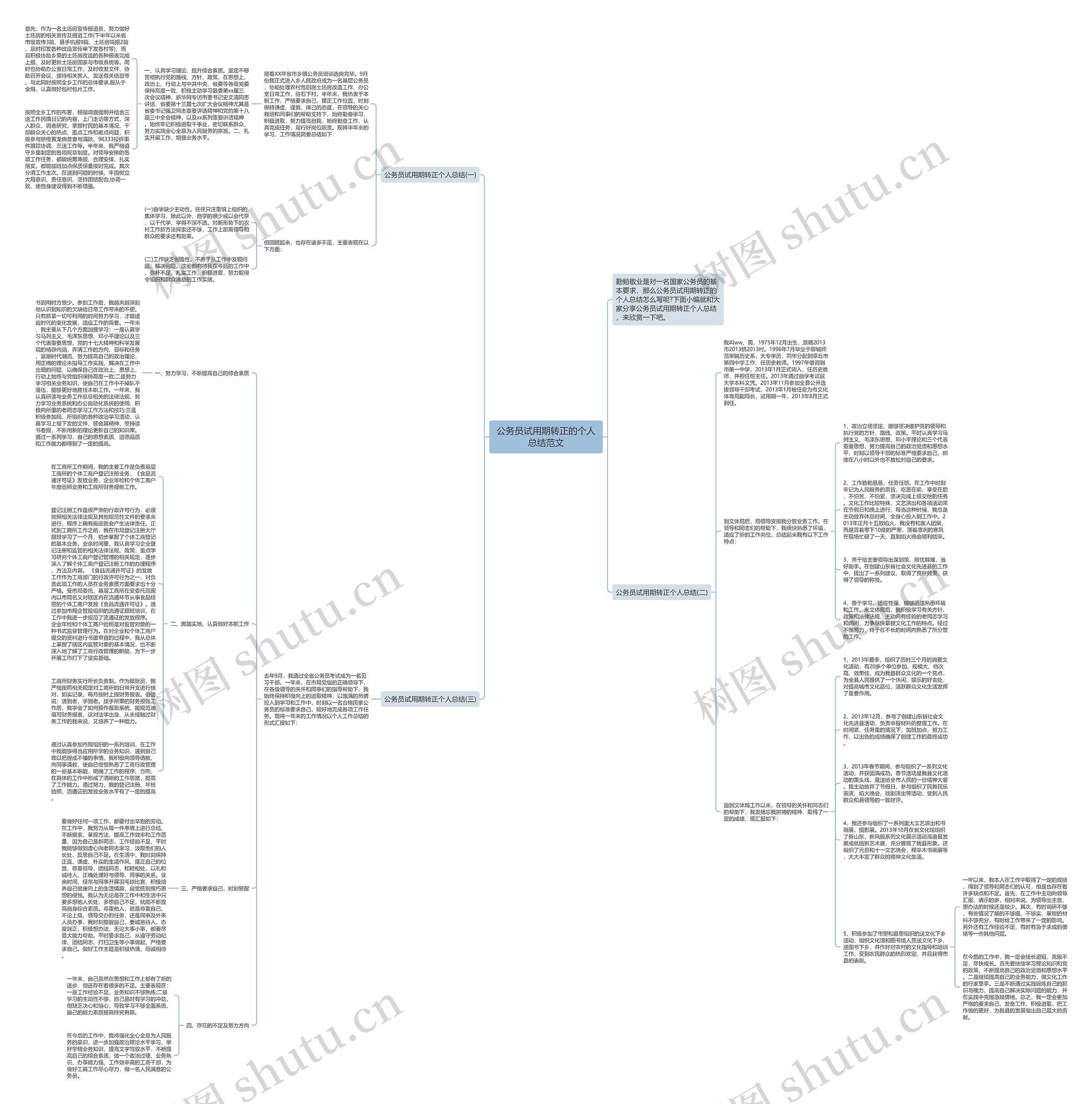 公务员试用期转正的个人总结范文思维导图