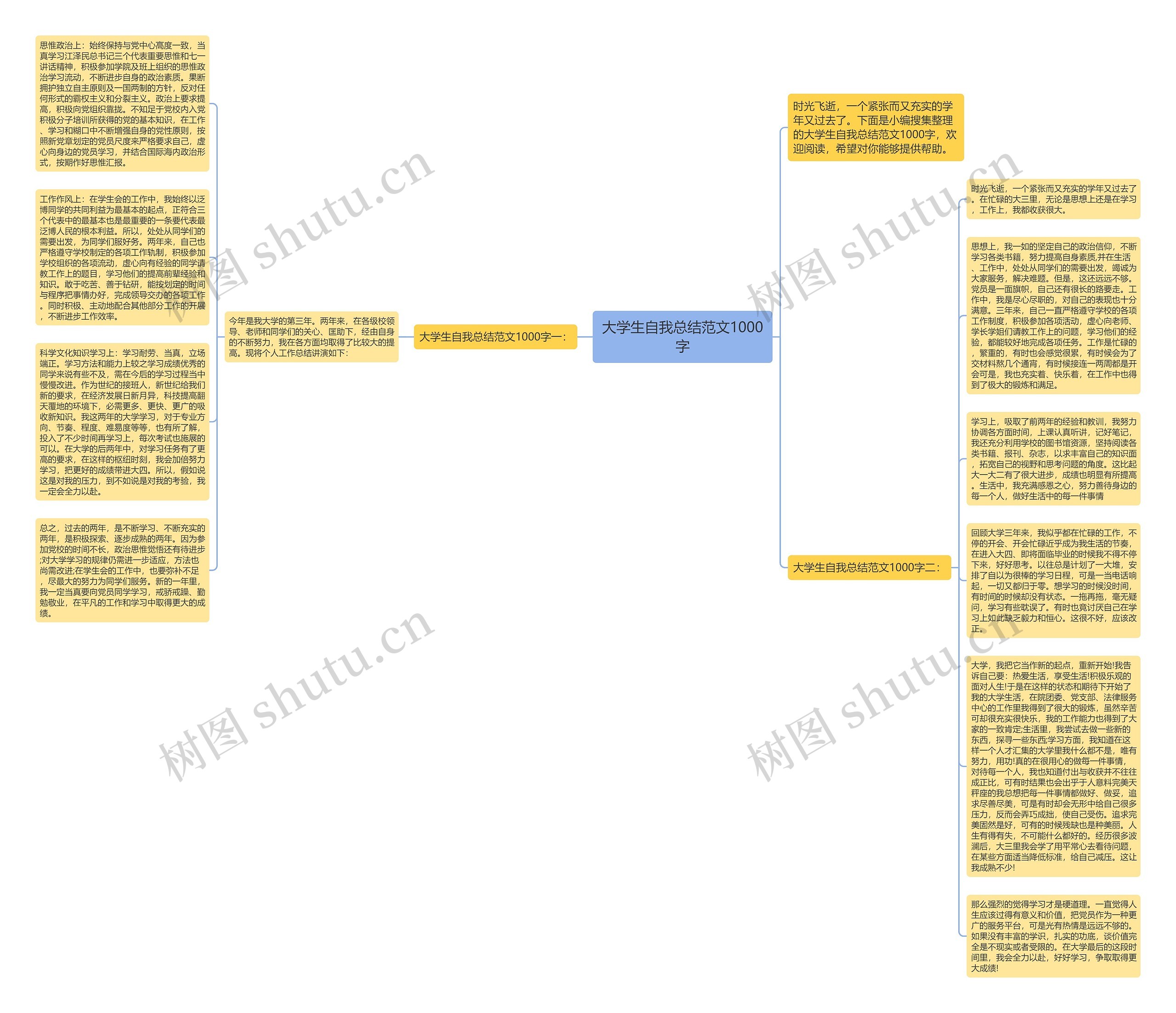 大学生自我总结范文1000字思维导图