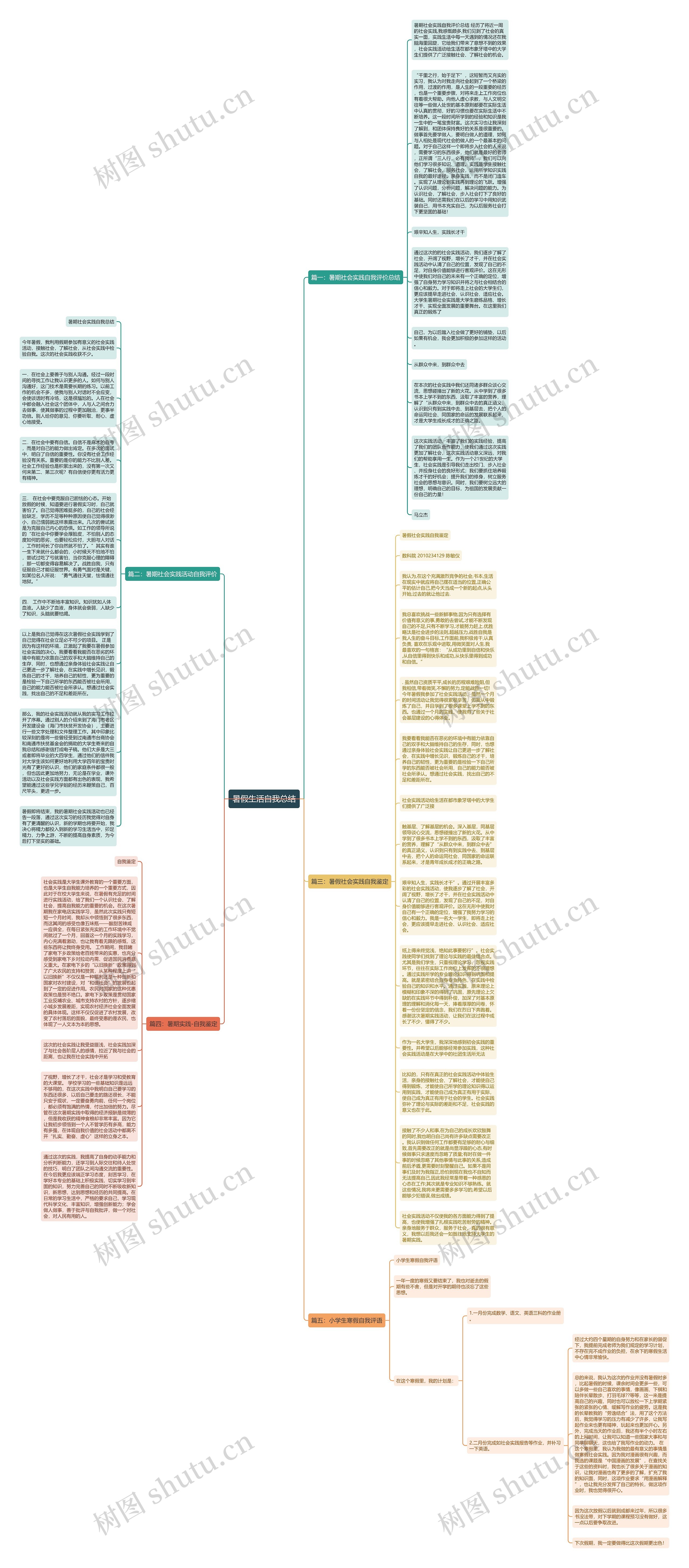 暑假生活自我总结思维导图