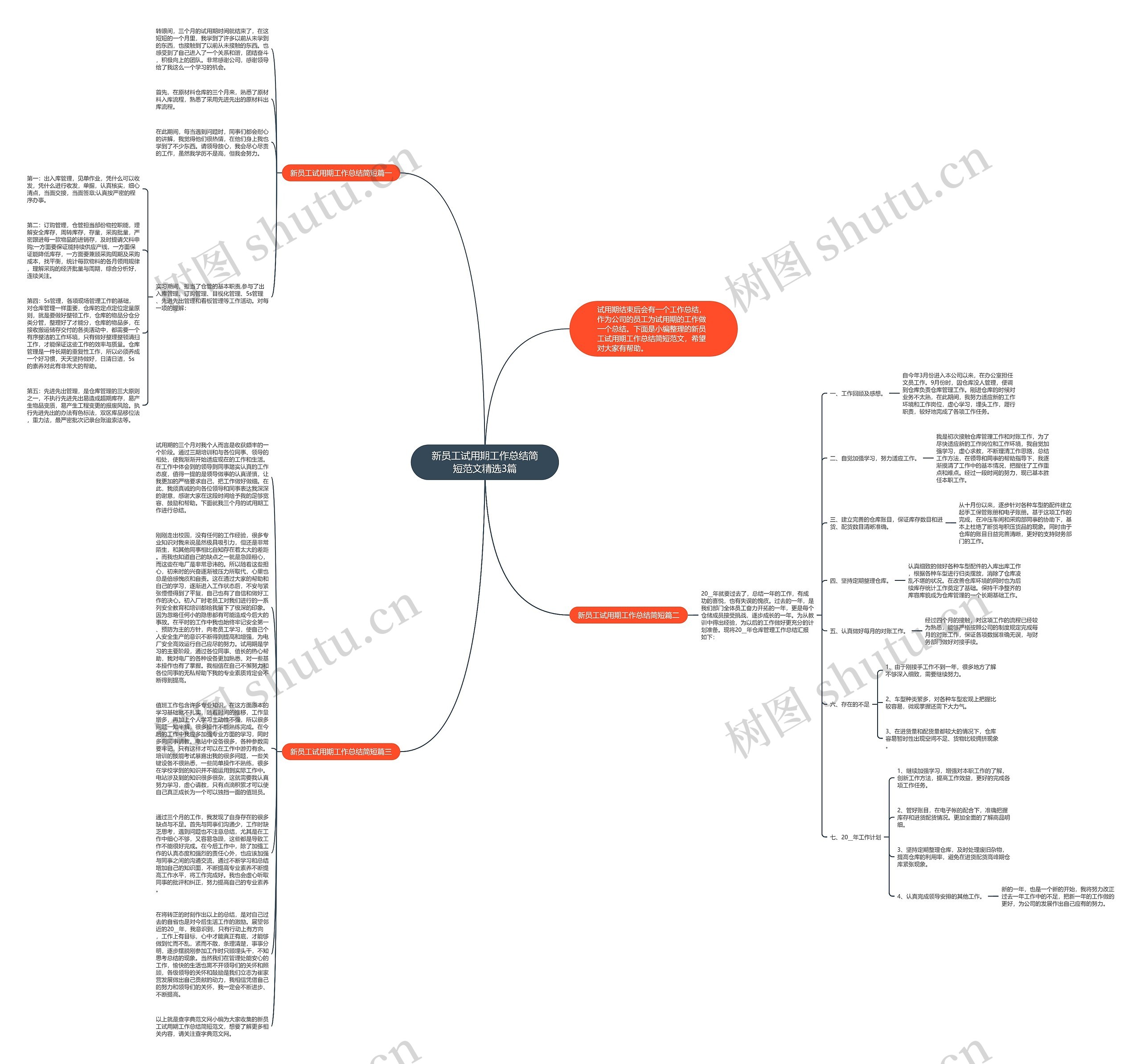 新员工试用期工作总结简短范文精选3篇思维导图