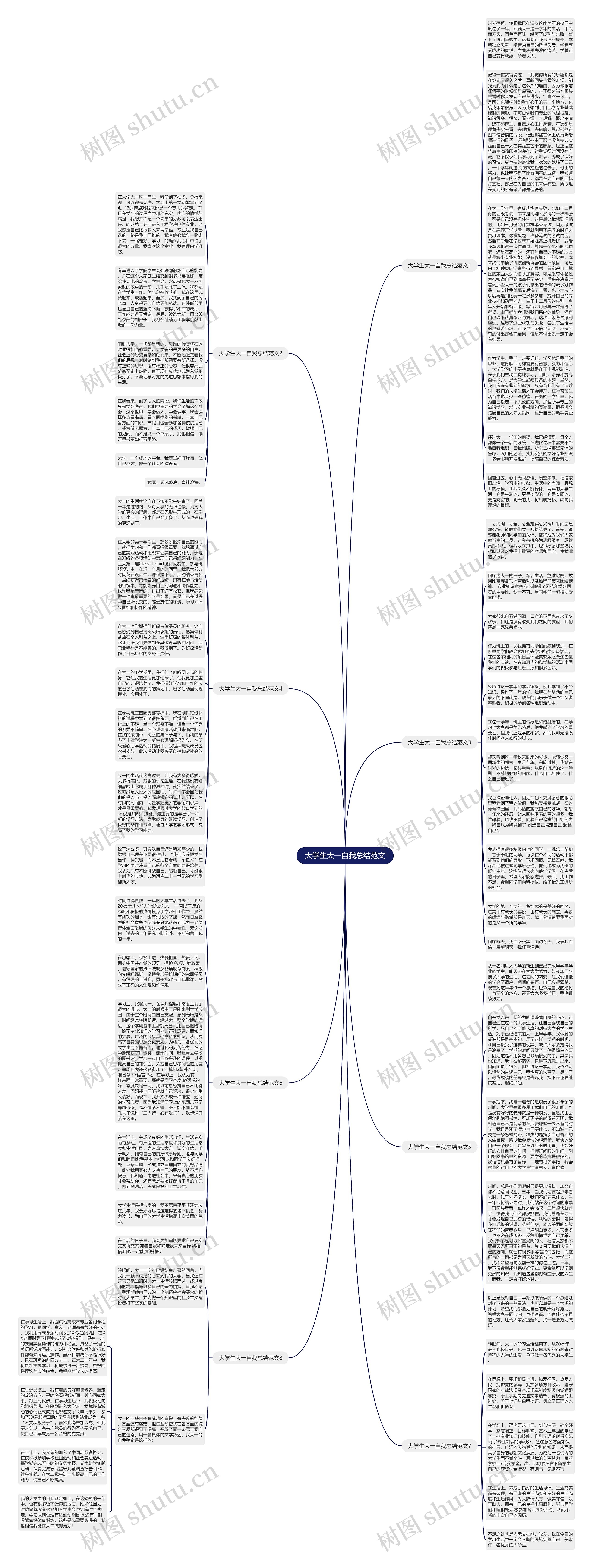 大学生大一自我总结范文思维导图