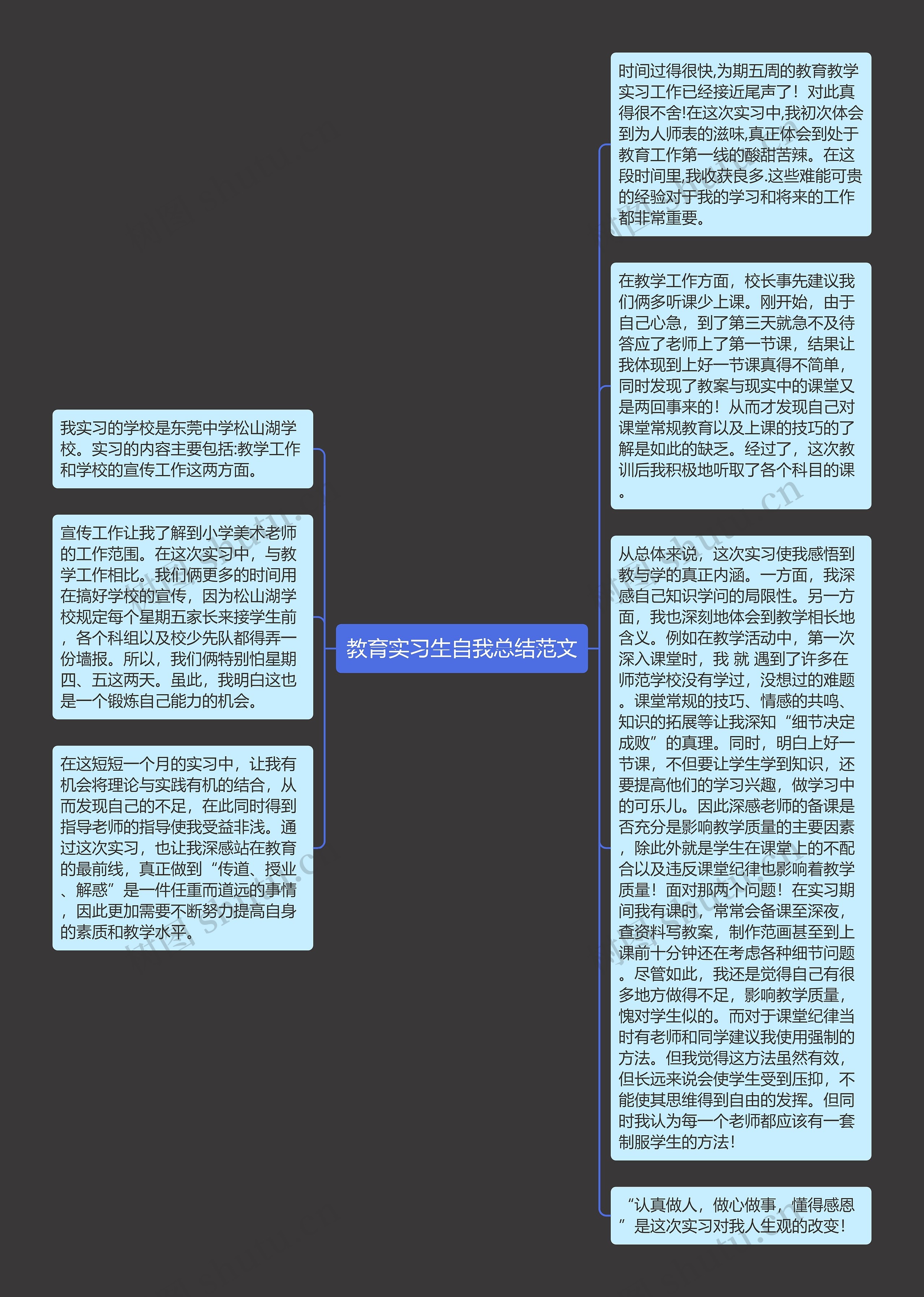 教育实习生自我总结范文思维导图