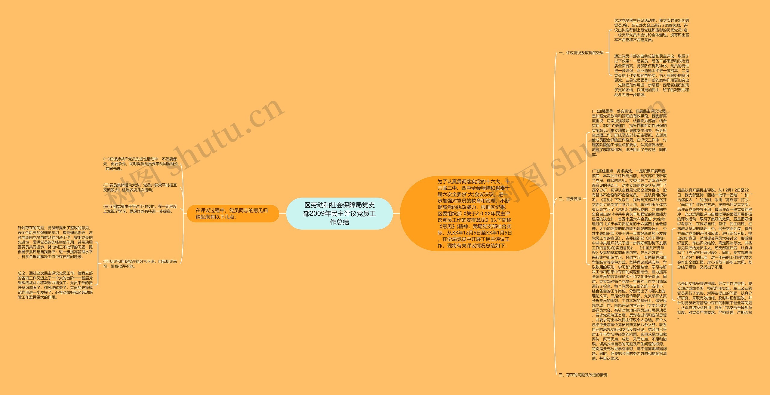 区劳动和社会保障局党支部2009年民主评议党员工作总结思维导图