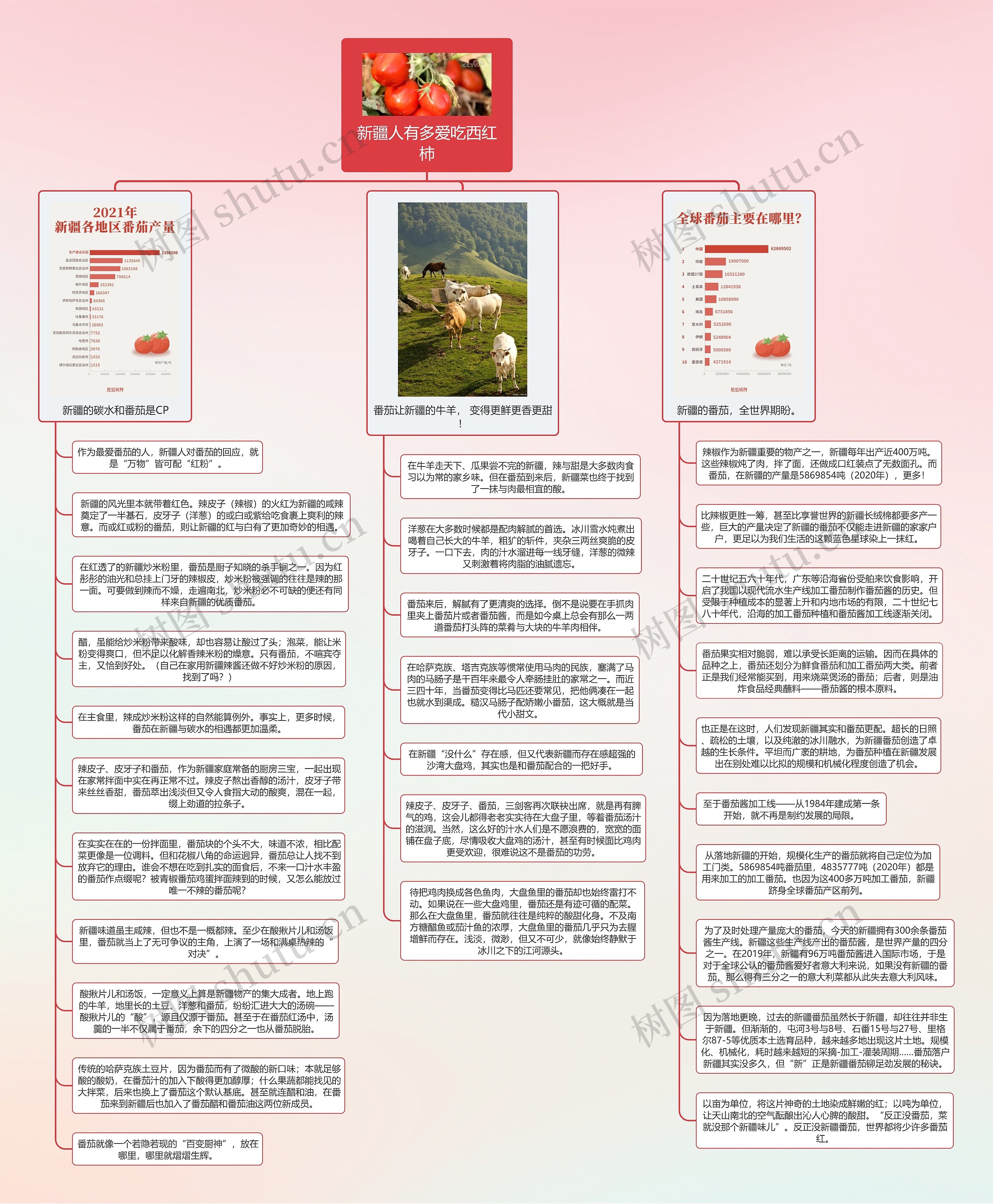 新疆人有多爱吃西红柿思维导图