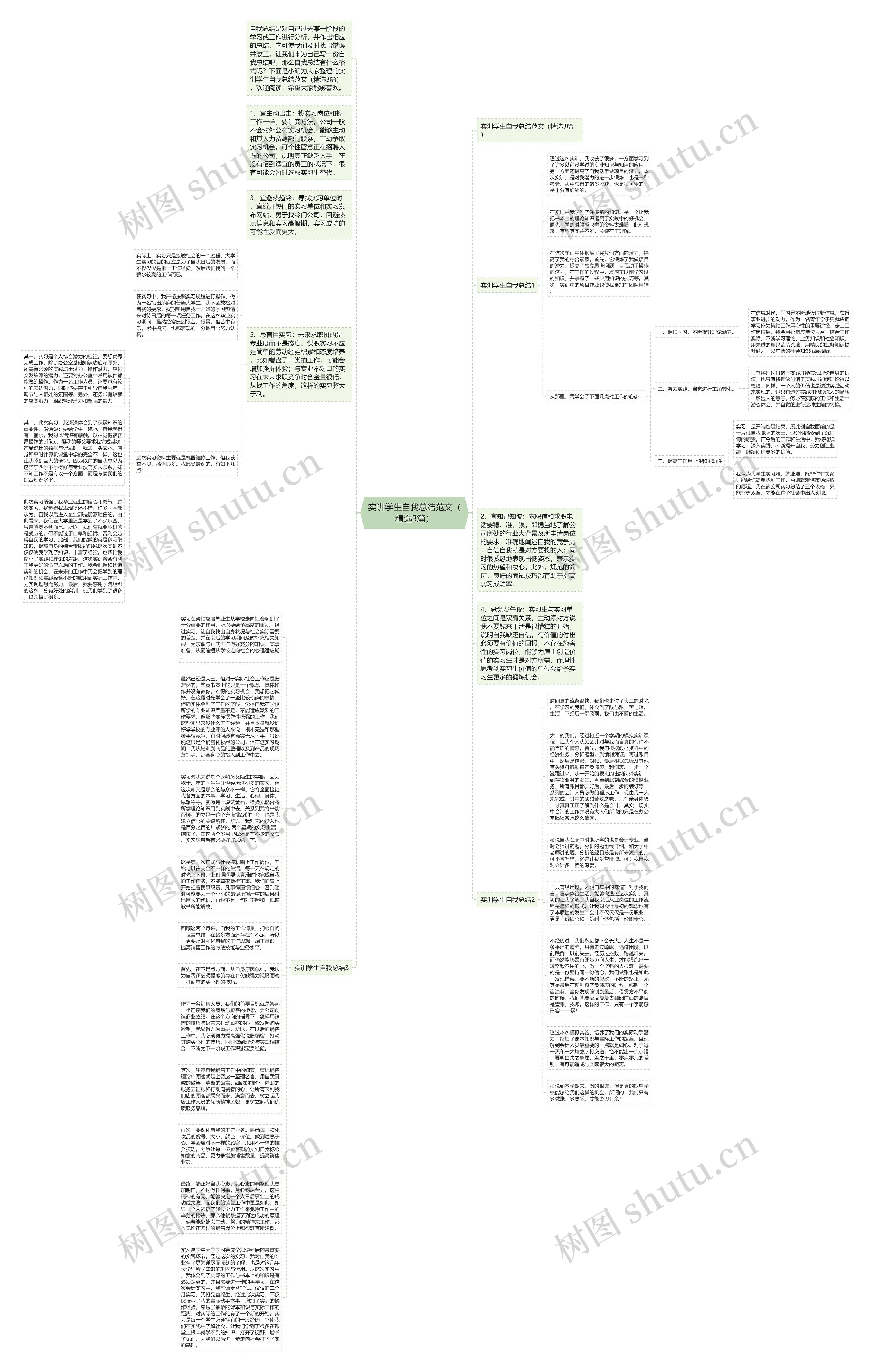 实训学生自我总结范文（精选3篇）思维导图