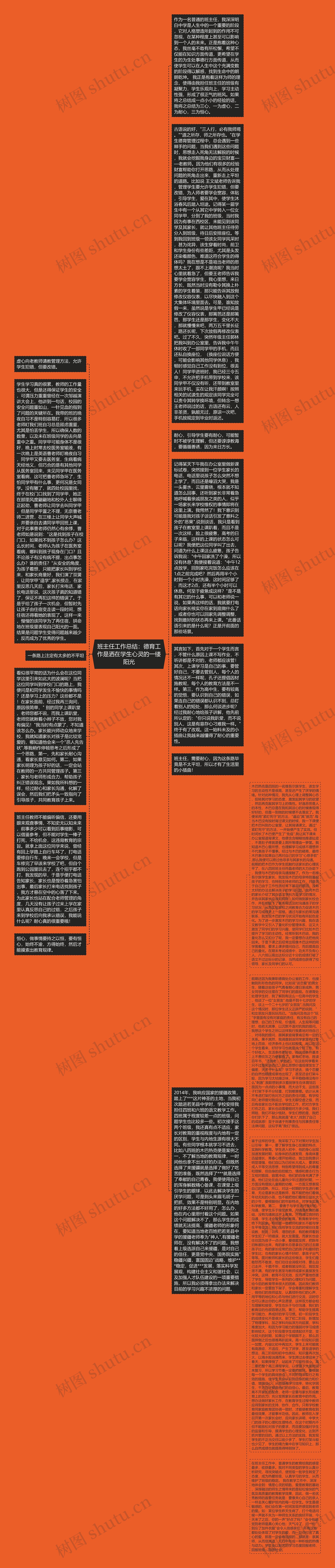 班主任工作总结：德育工作是洒在学生心灵的一缕阳光思维导图