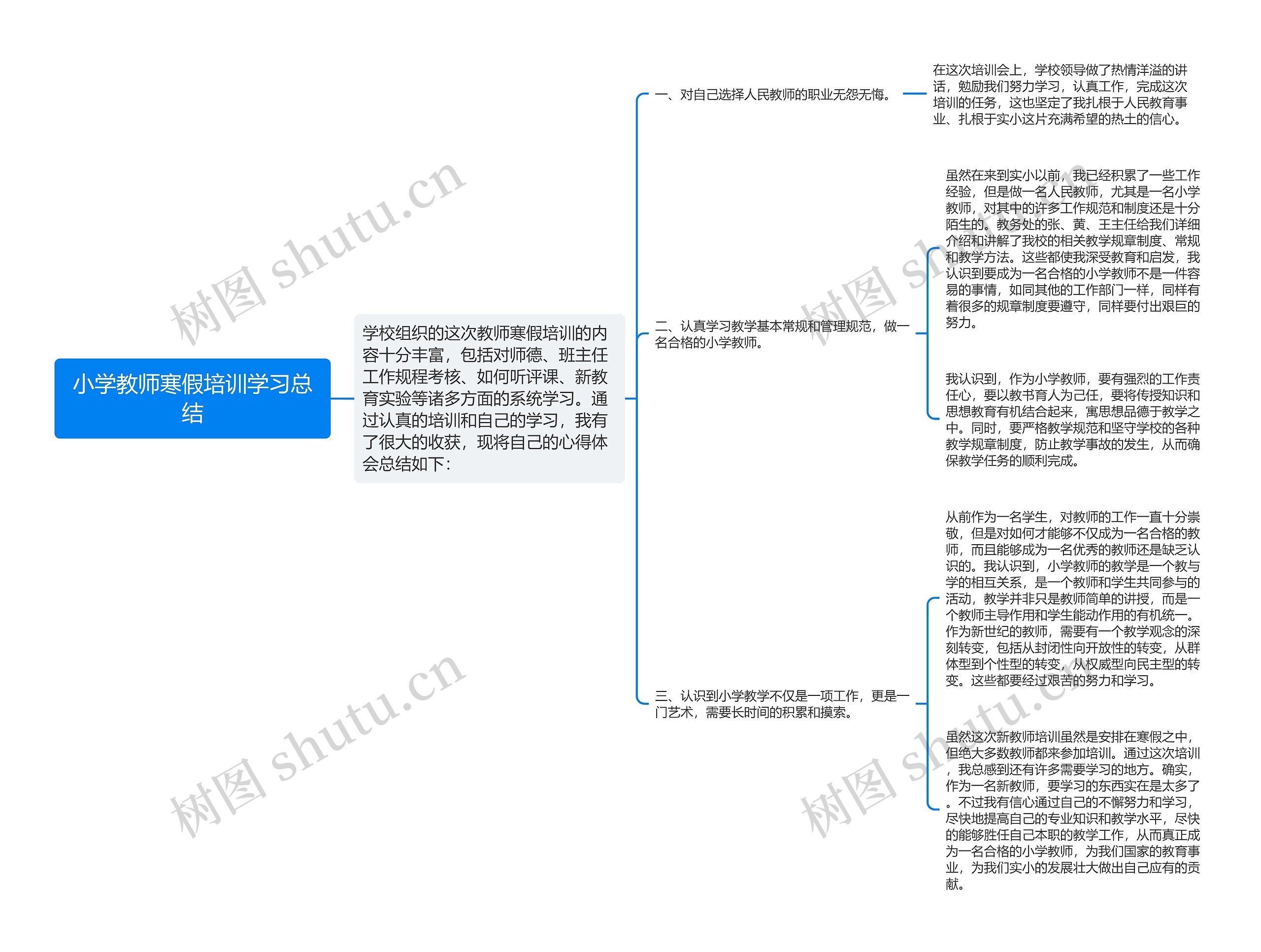 小学教师寒假培训学习总结思维导图