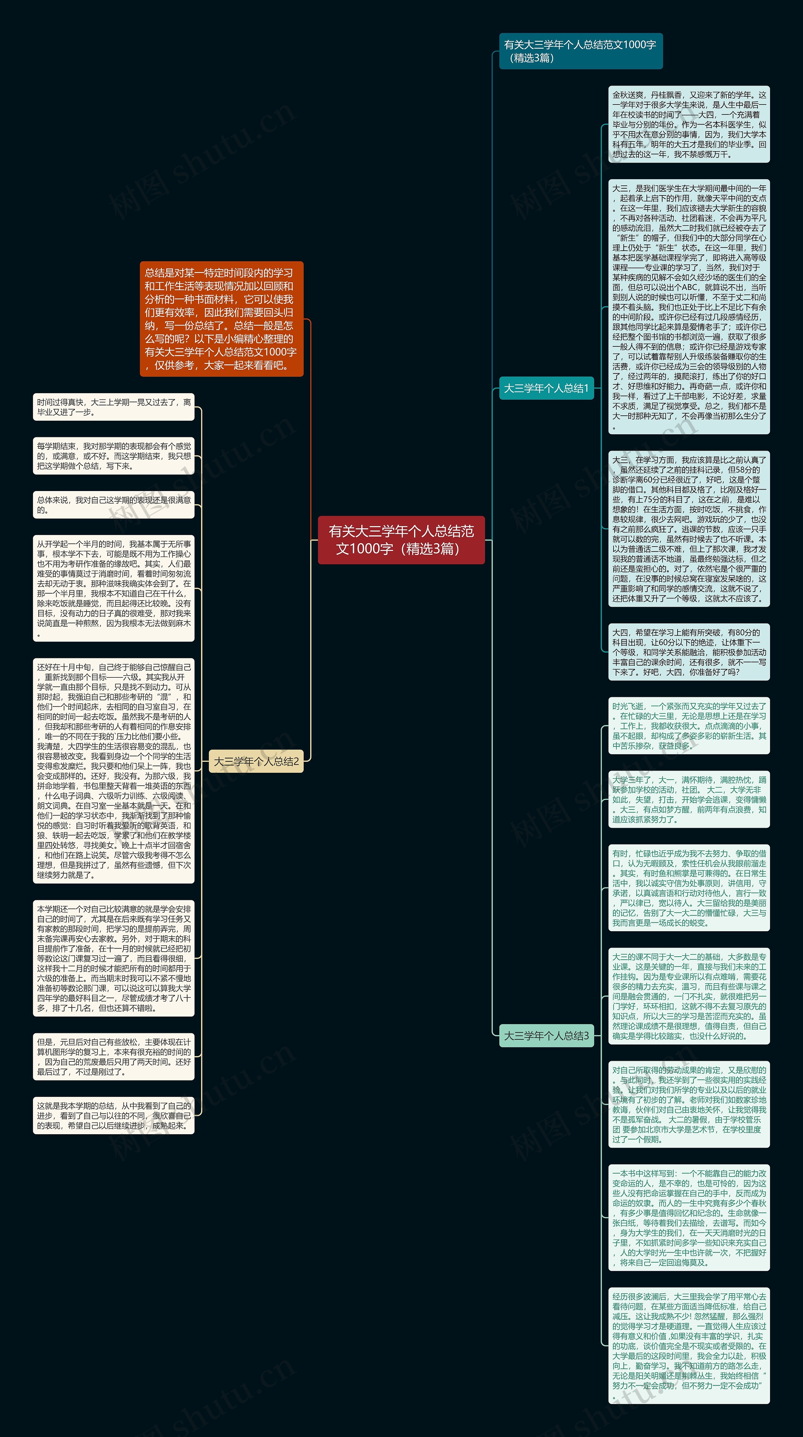 有关大三学年个人总结范文1000字（精选3篇）思维导图