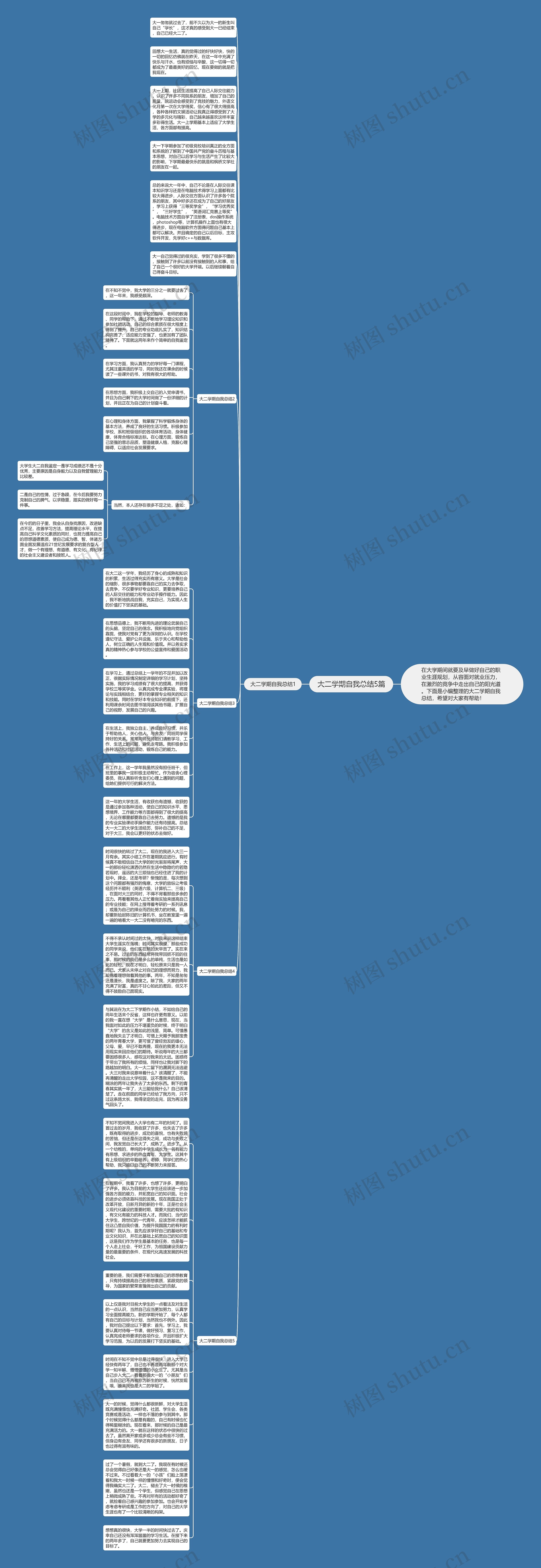 大二学期自我总结5篇思维导图