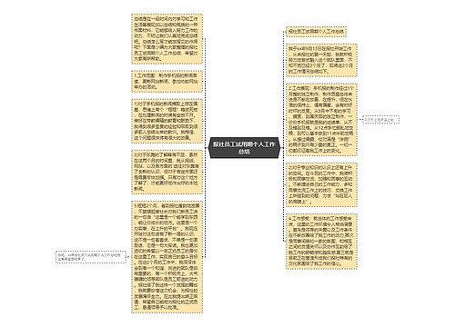 报社员工试用期个人工作总结