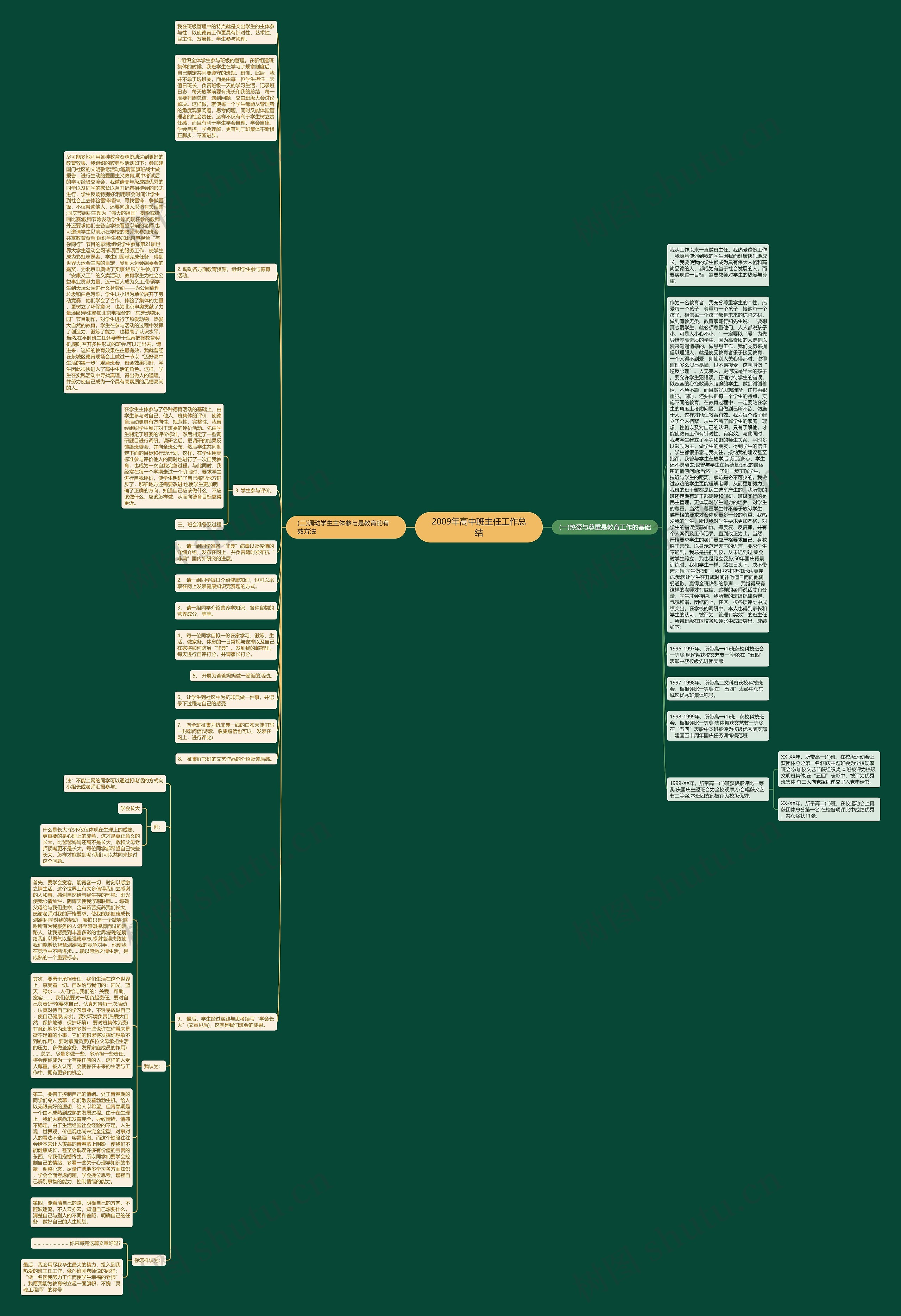 2009年高中班主任工作总结思维导图