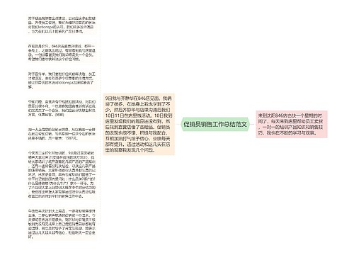 促销员销售工作总结范文