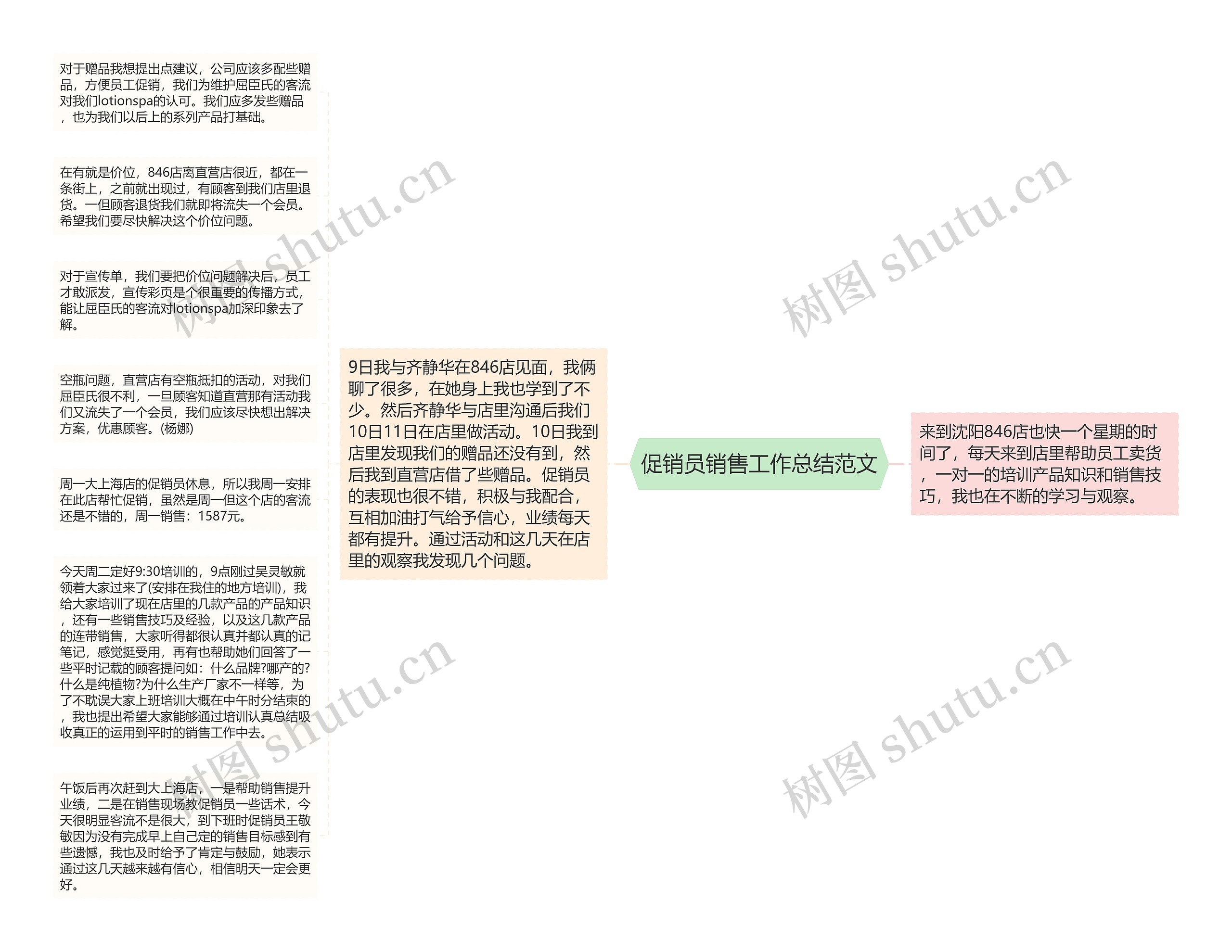 促销员销售工作总结范文