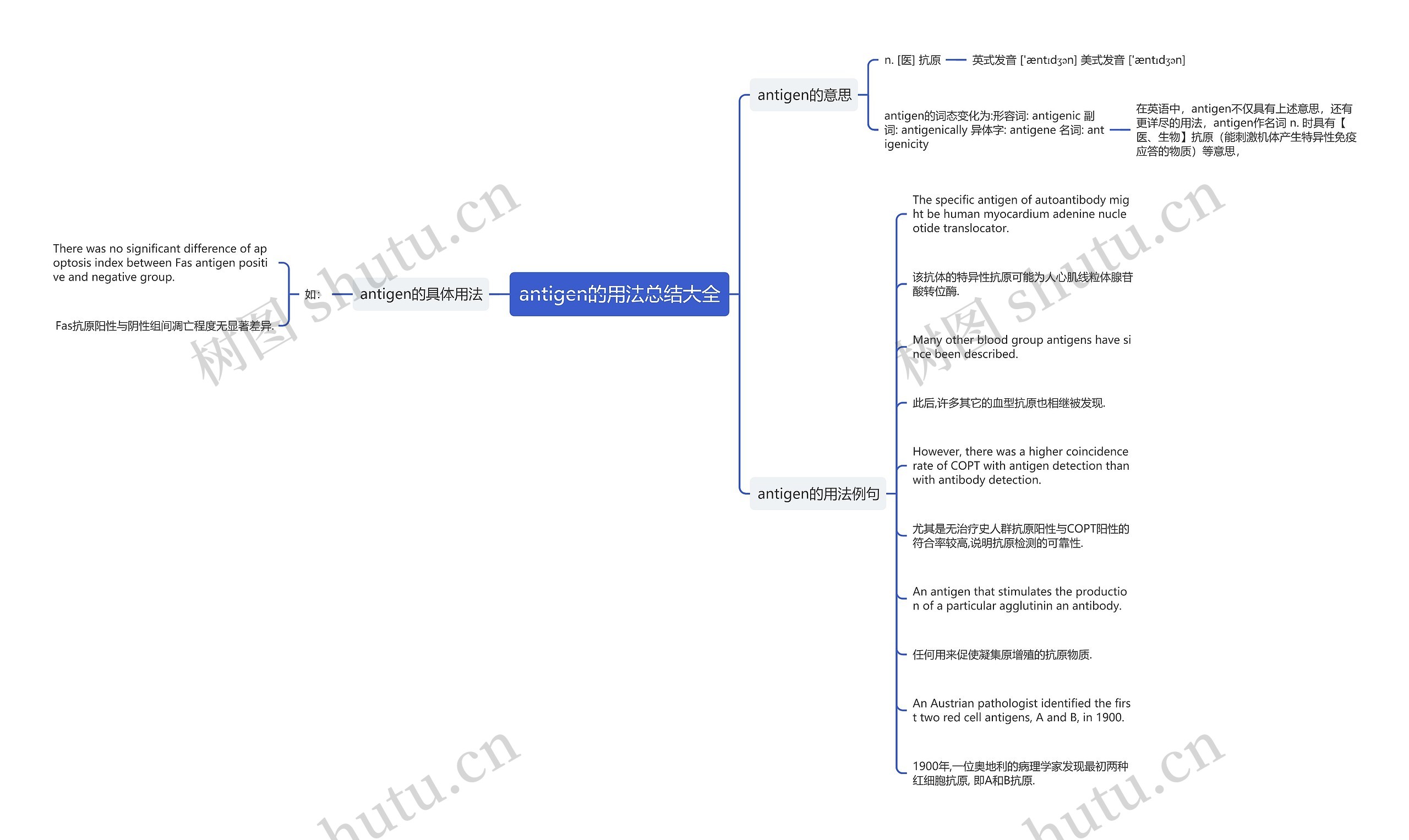 antigen的用法总结大全思维导图