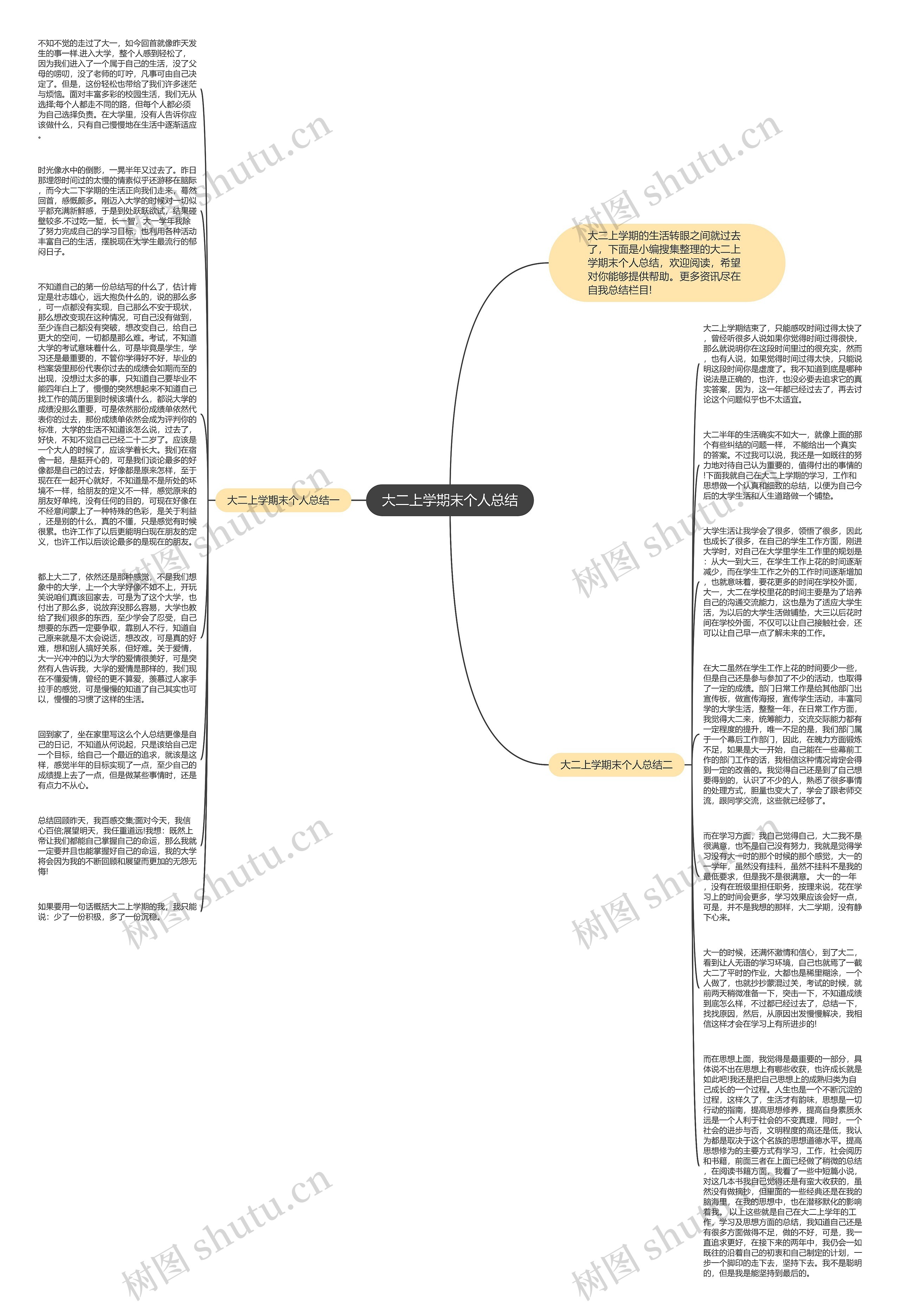大二上学期末个人总结思维导图