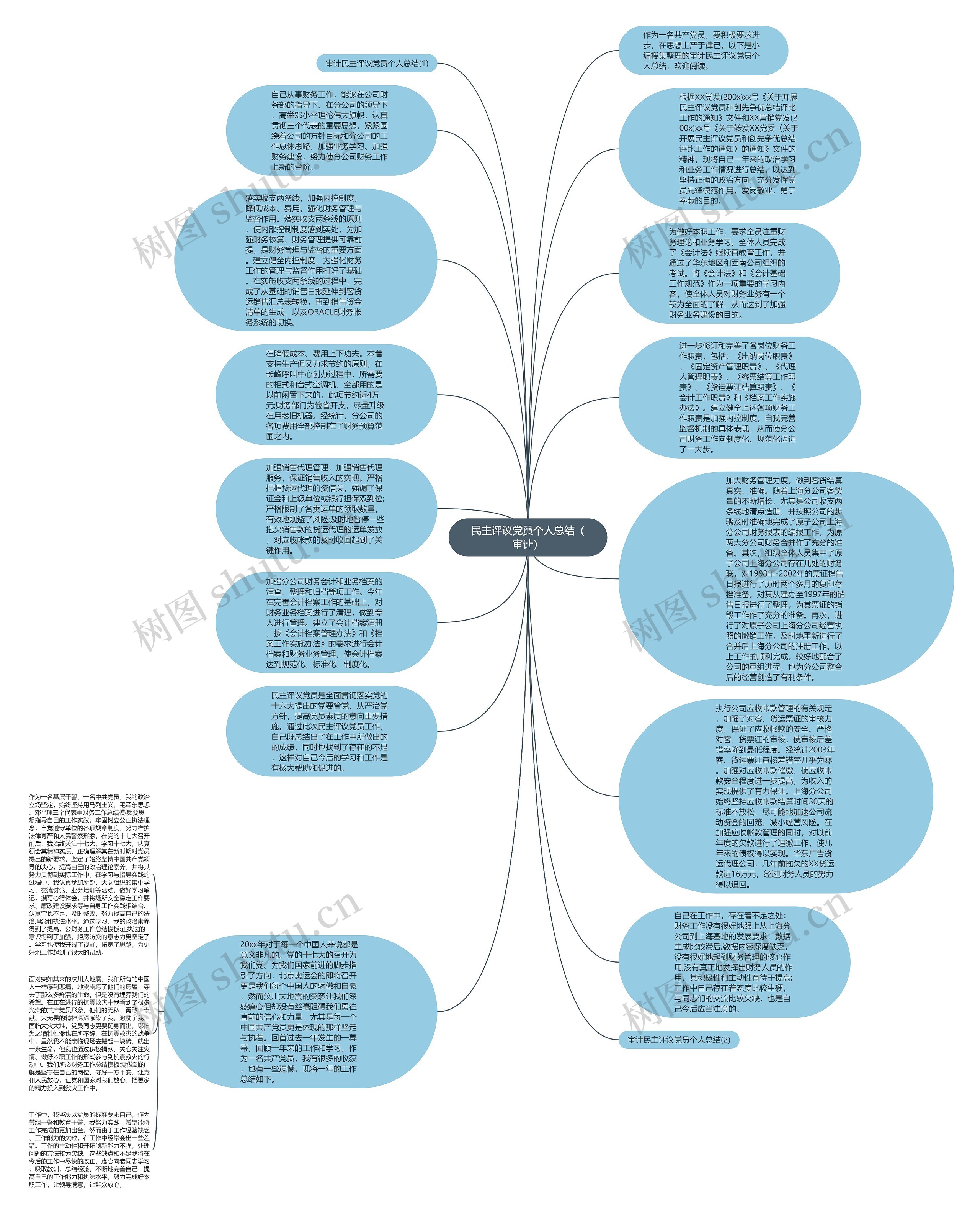 民主评议党员个人总结（审计）思维导图