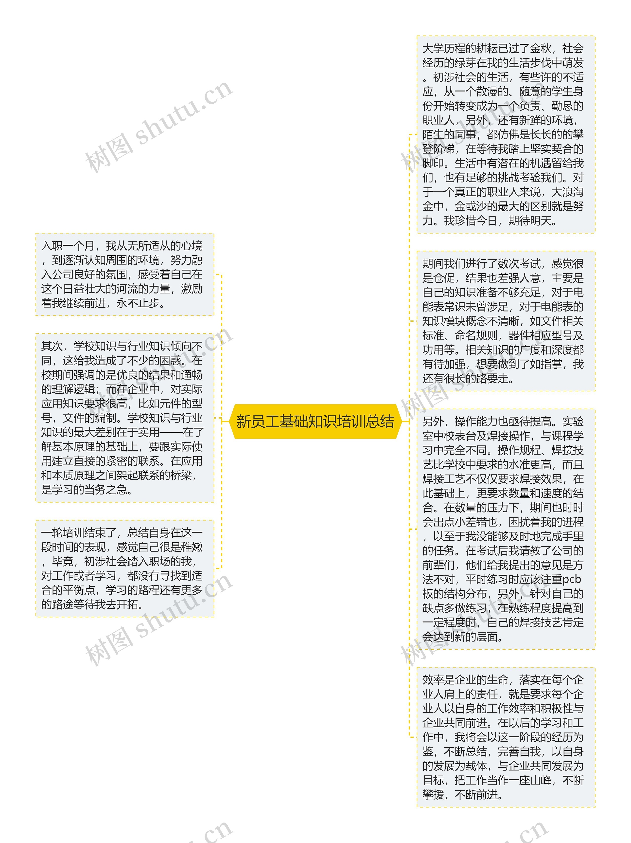 新员工基础知识培训总结