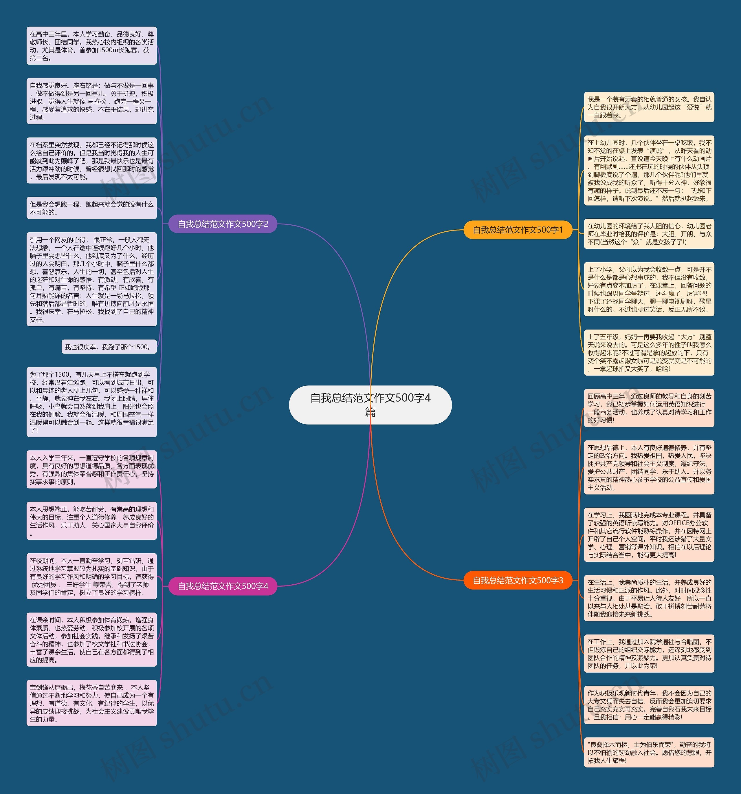 自我总结范文作文500字4篇思维导图