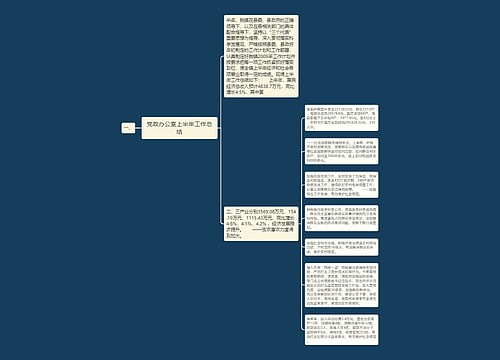 党政办公室上半年工作总结