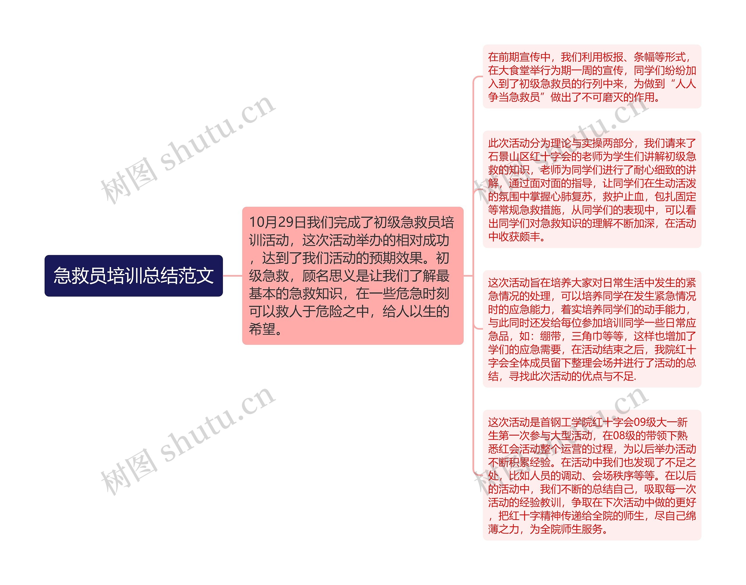 急救员培训总结范文思维导图