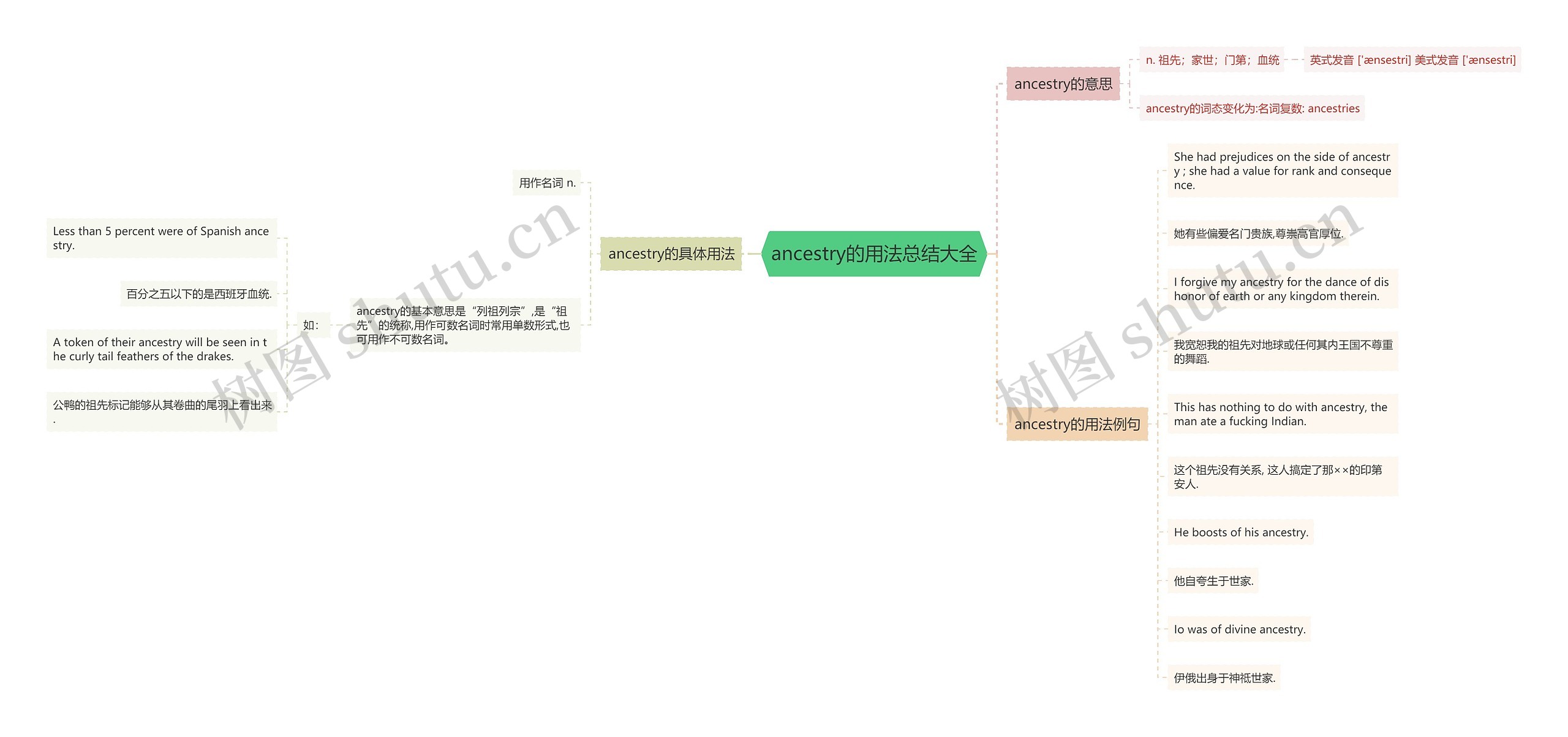 ancestry的用法总结大全思维导图