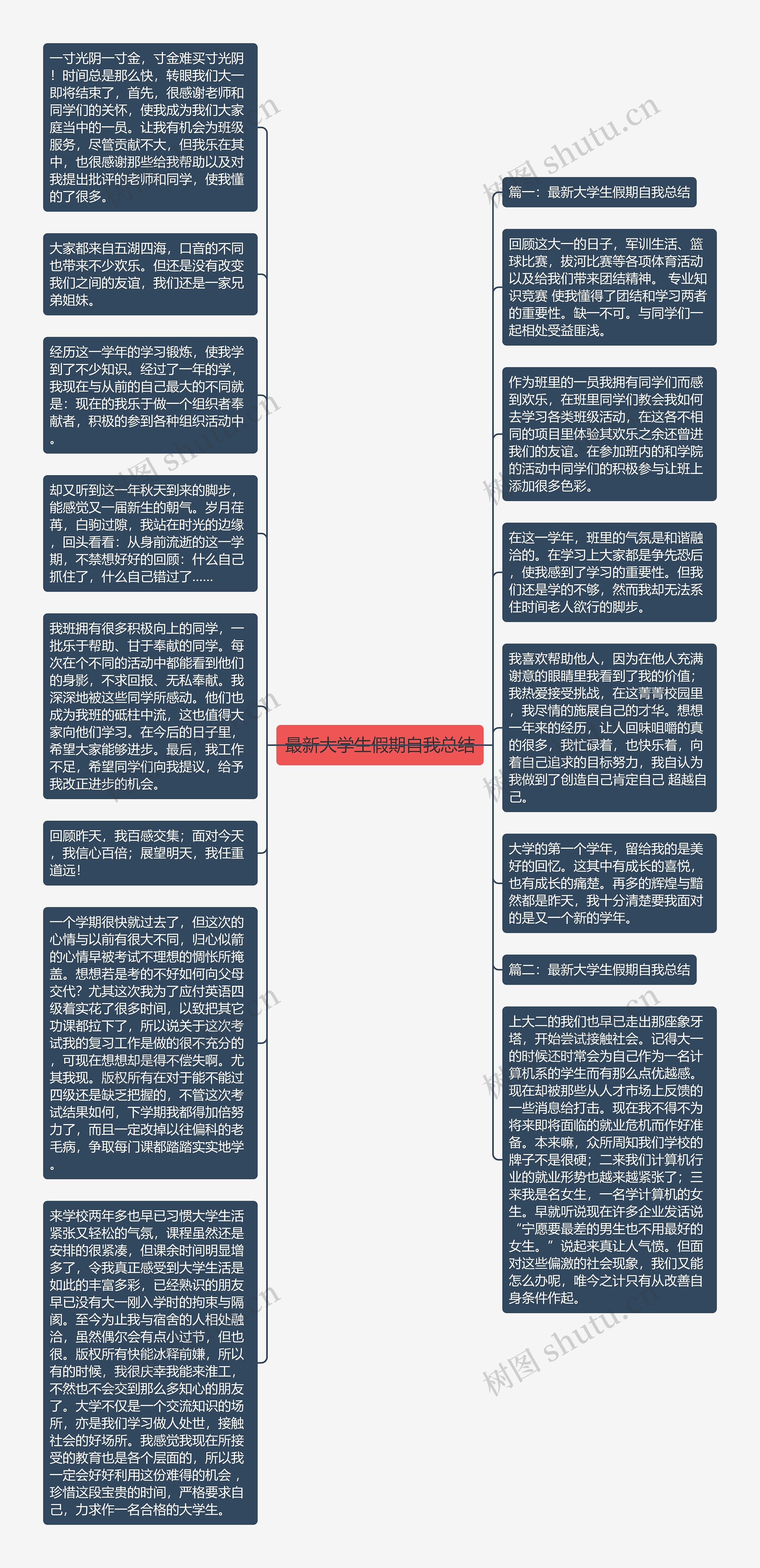 最新大学生假期自我总结思维导图