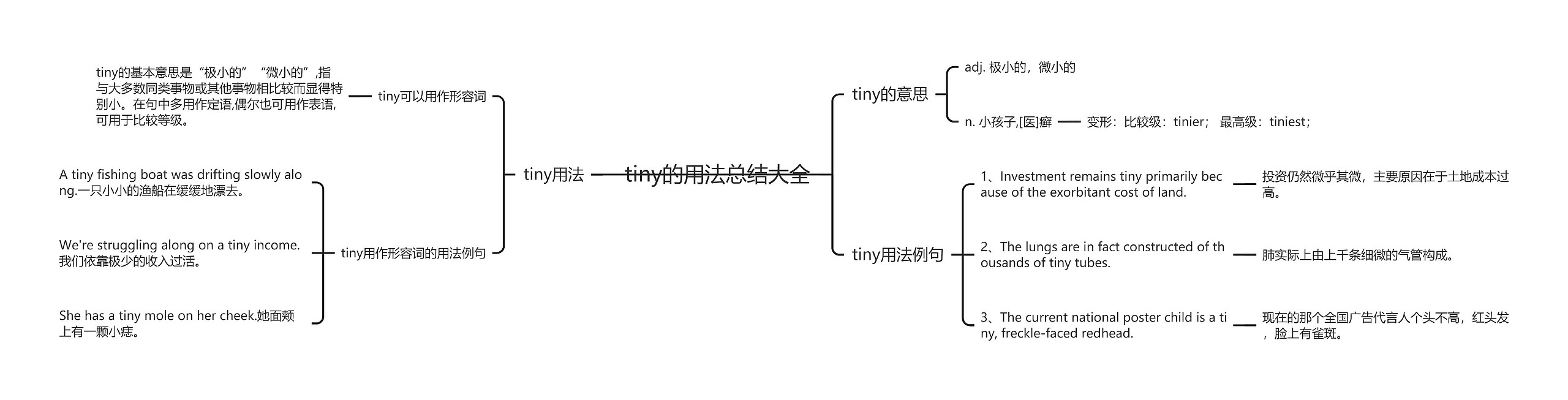 tiny的用法总结大全思维导图