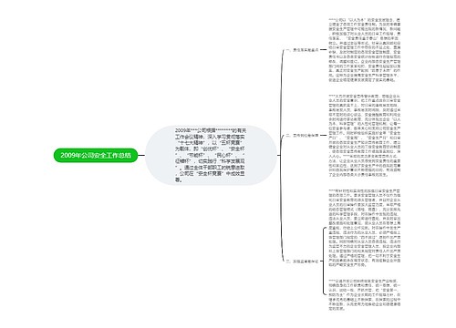 2009年公司安全工作总结