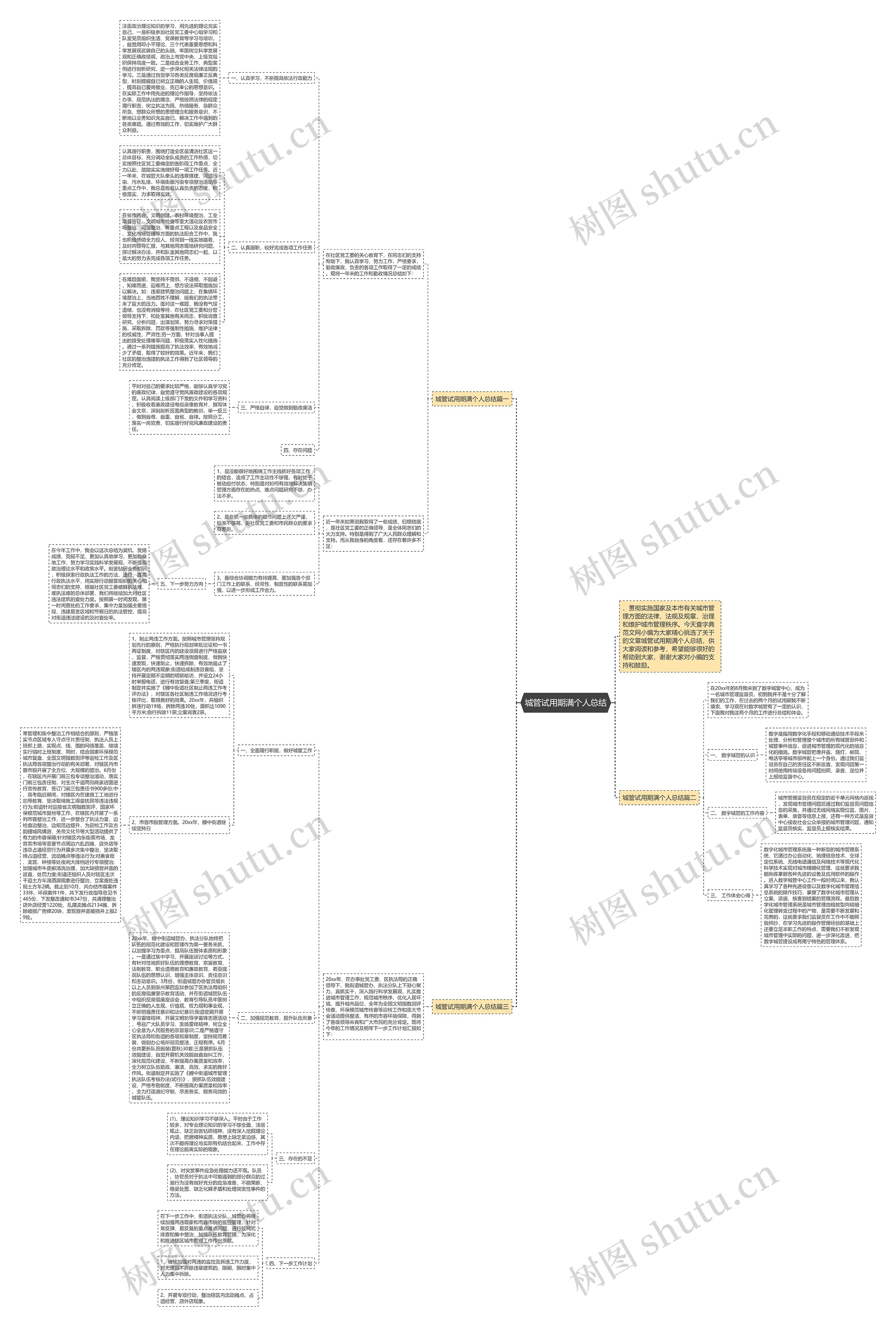 城管试用期满个人总结思维导图