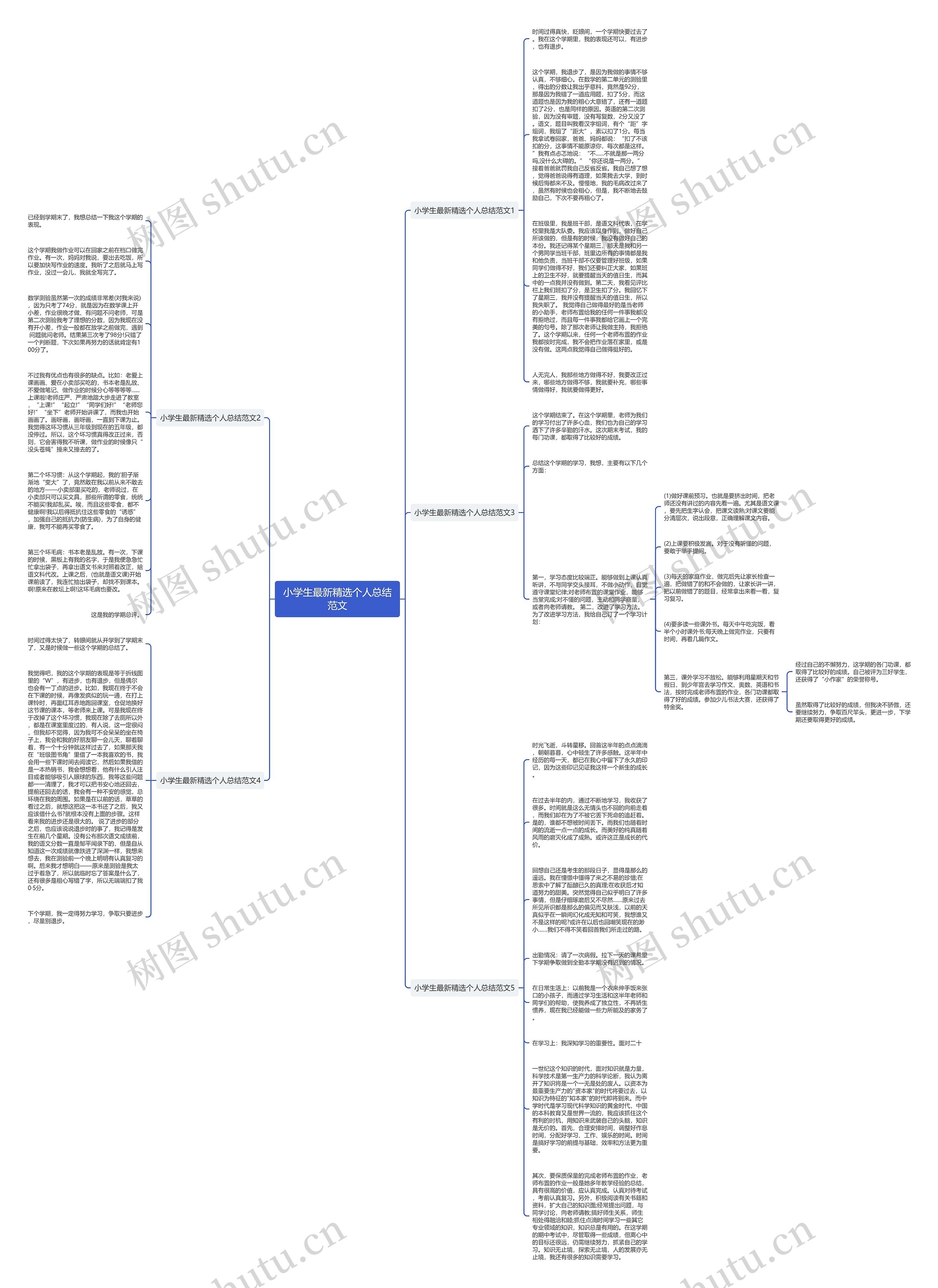 小学生最新精选个人总结范文思维导图