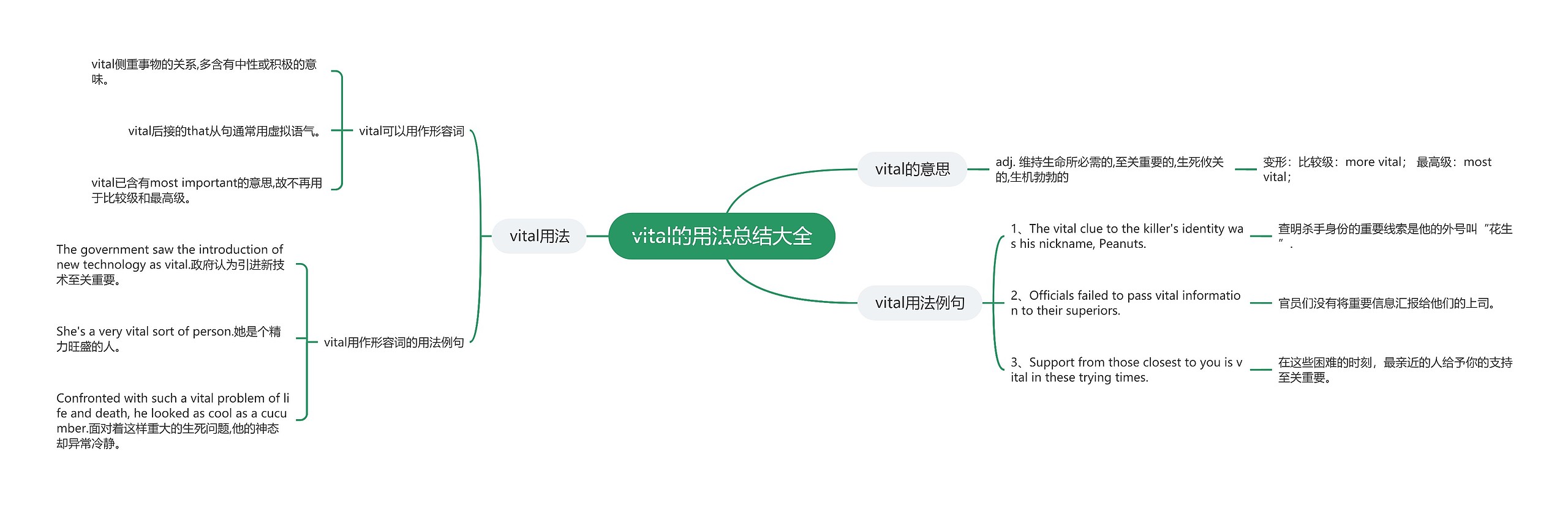 vital的用法总结大全思维导图