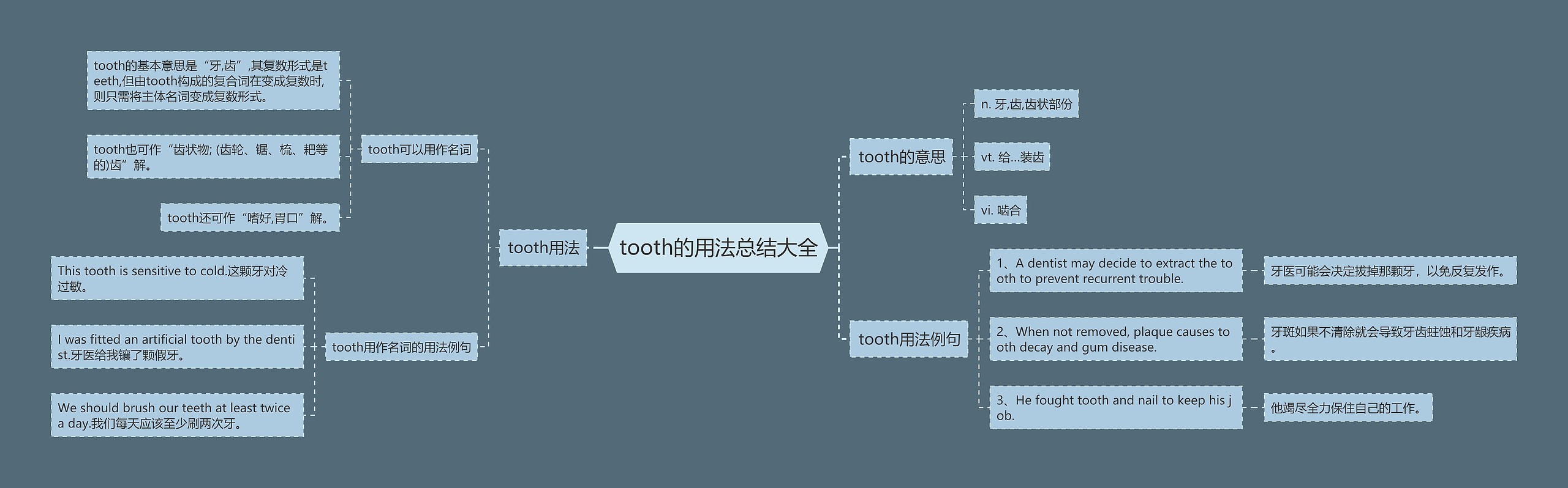 tooth的用法总结大全思维导图