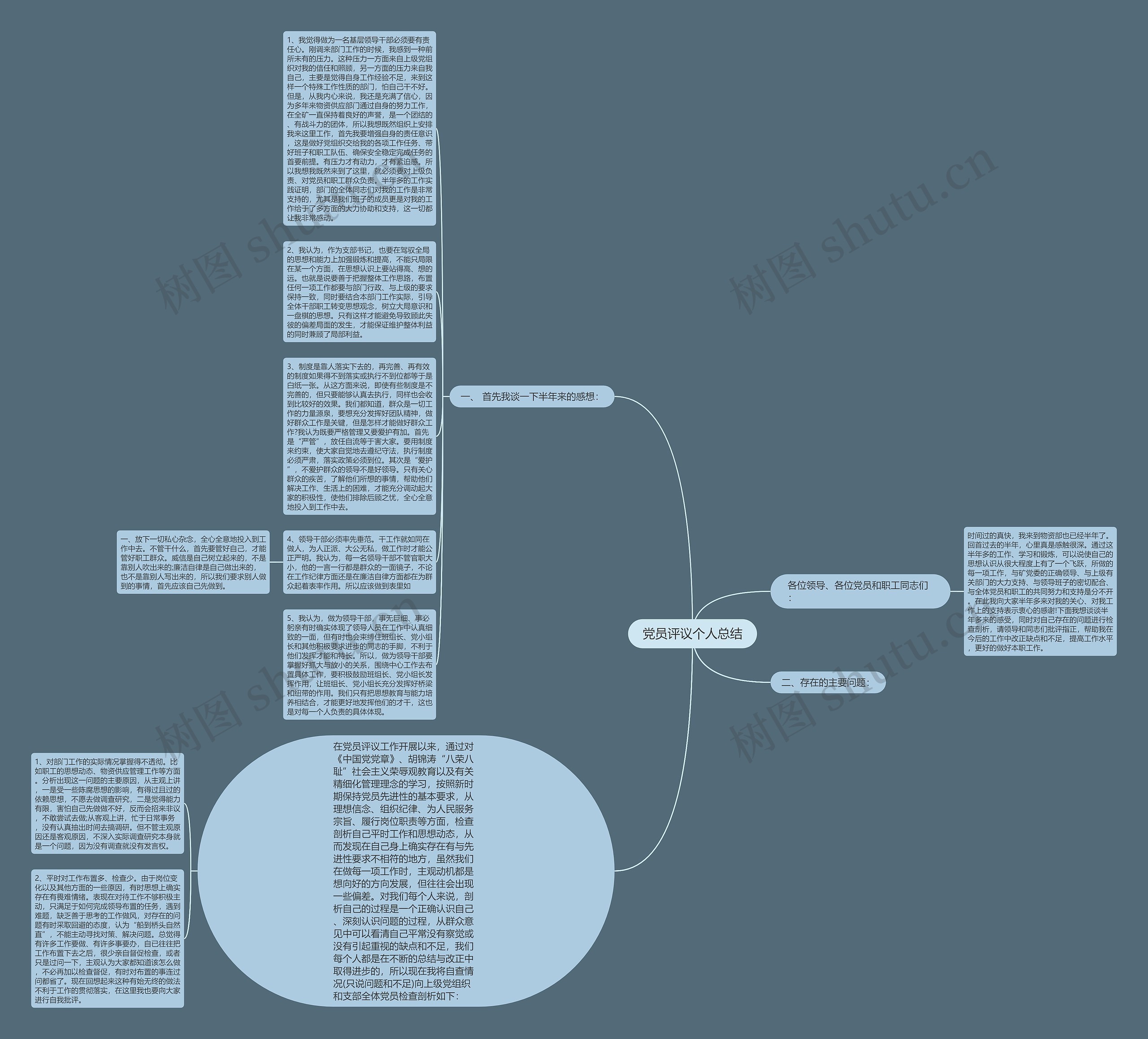 党员评议个人总结思维导图