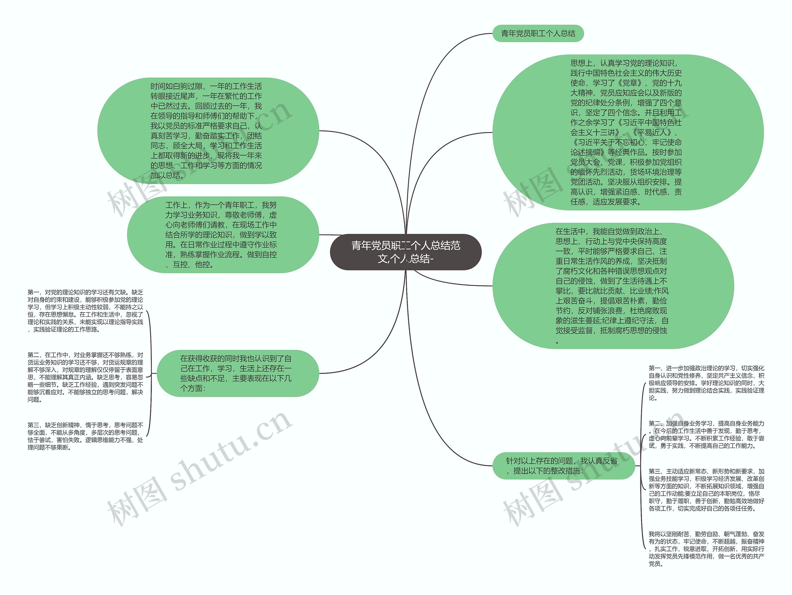 青年党员职工个人总结范文,个人总结-思维导图