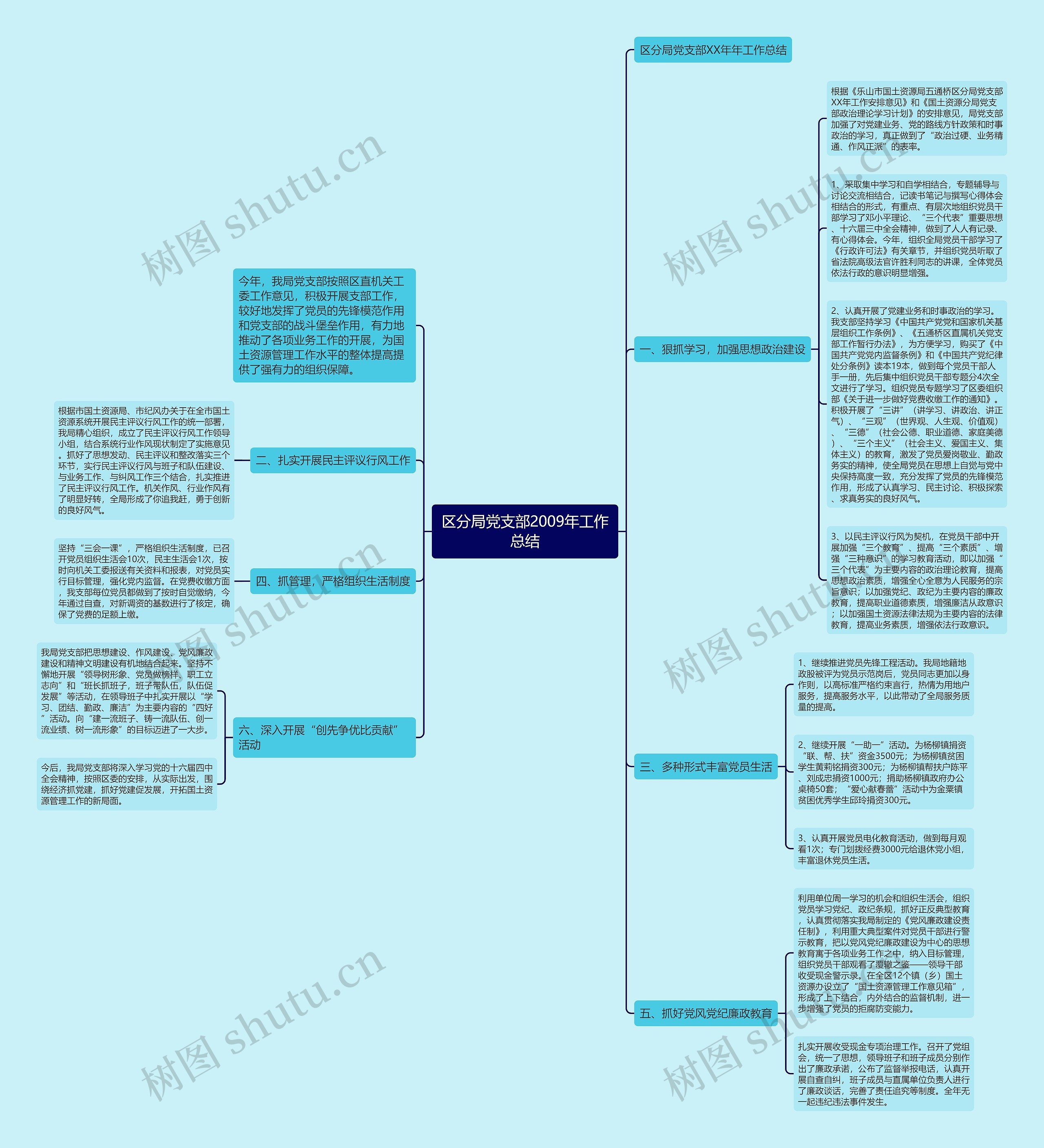区分局党支部2009年工作总结思维导图